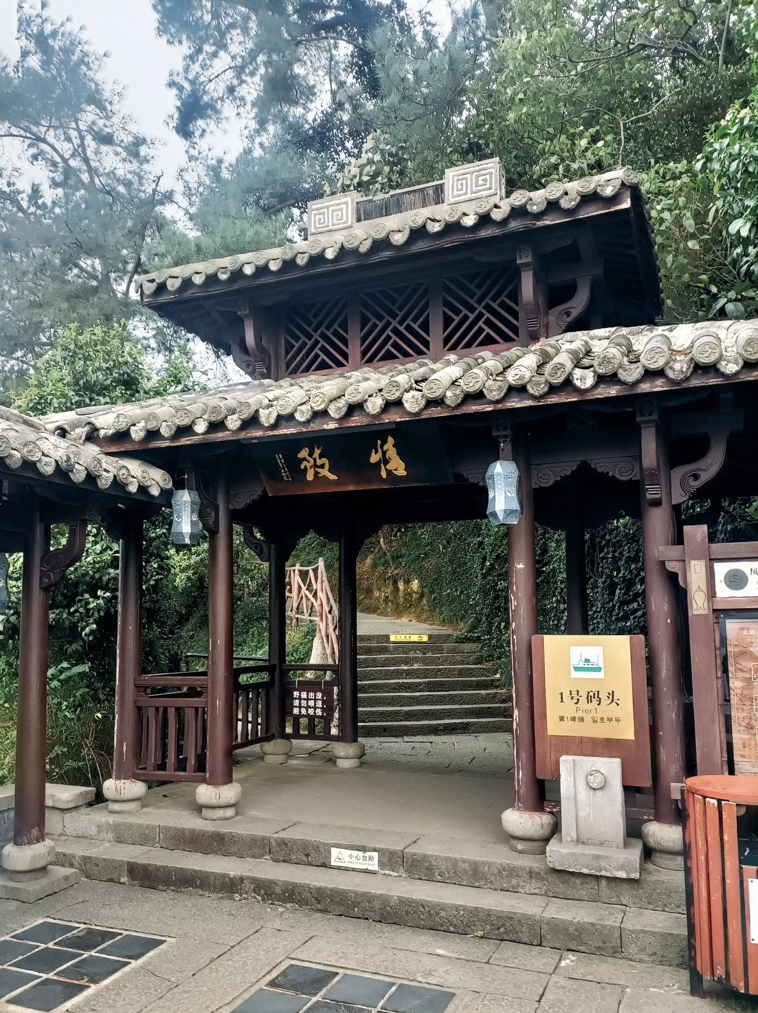 月光岛旅行图片 1