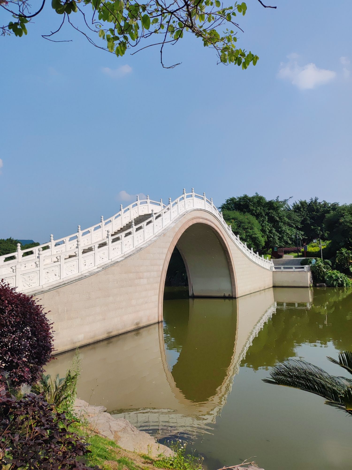 月光岛