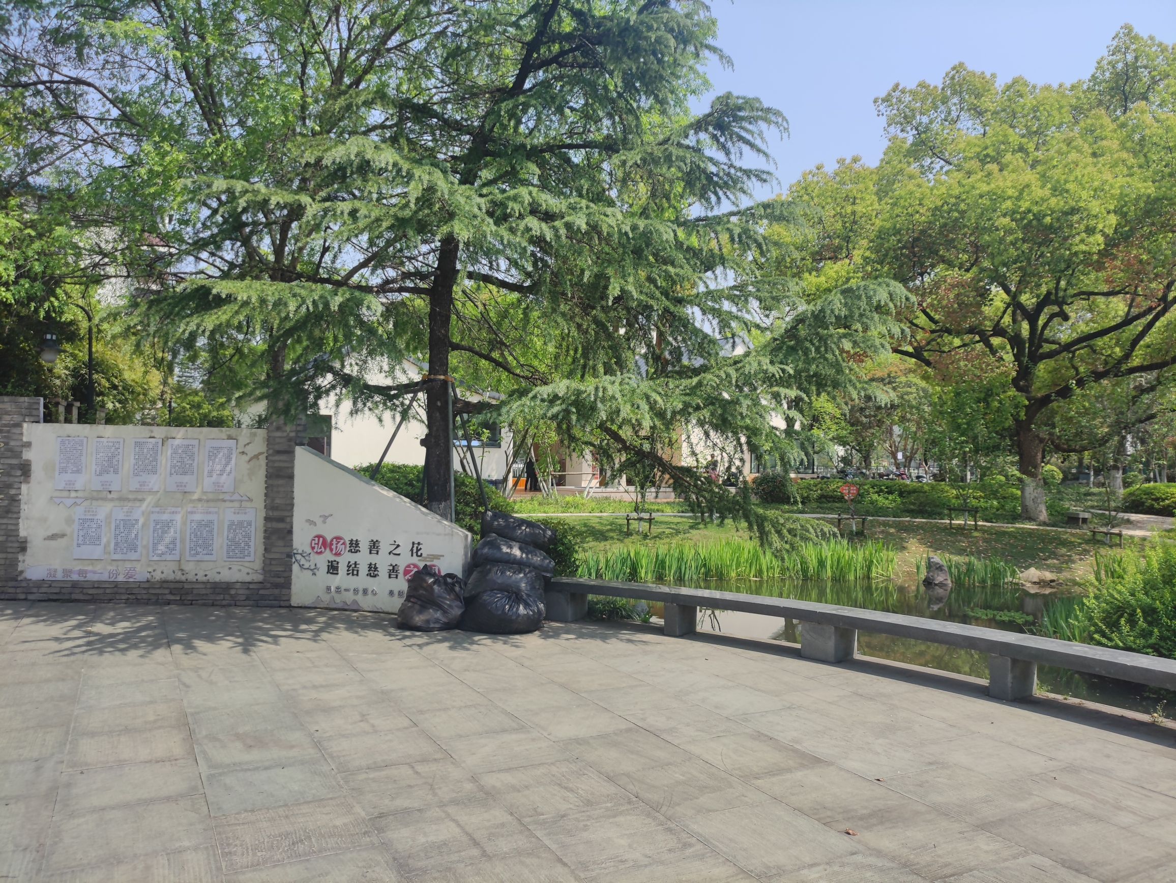 吉杨公园-慈善公园旅行图片 2