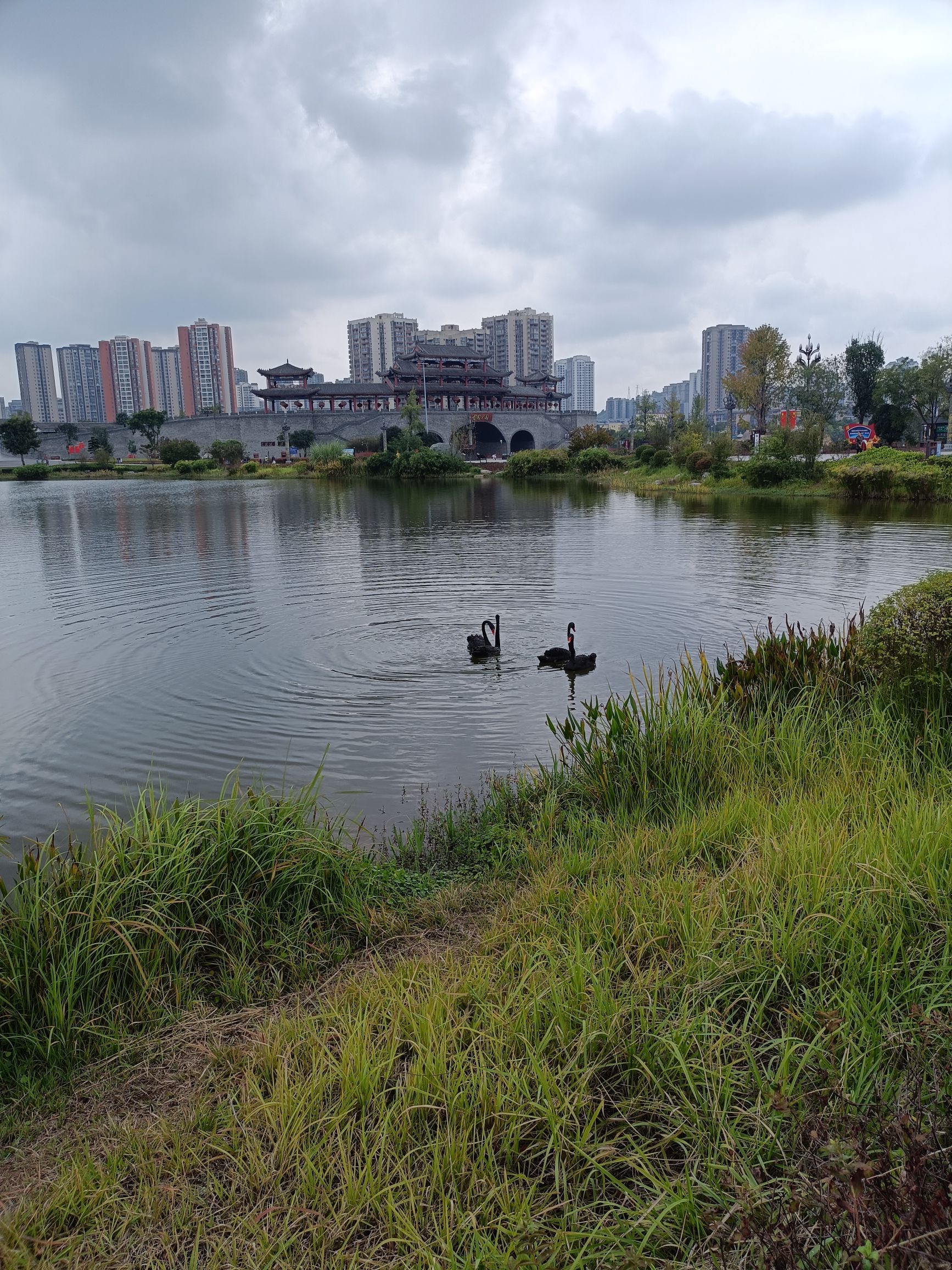 香国公园旅行图片 2