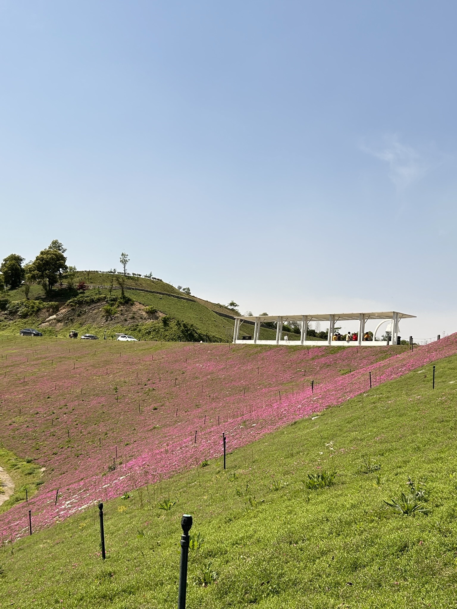 绿野欢乐谷旅行图片 3