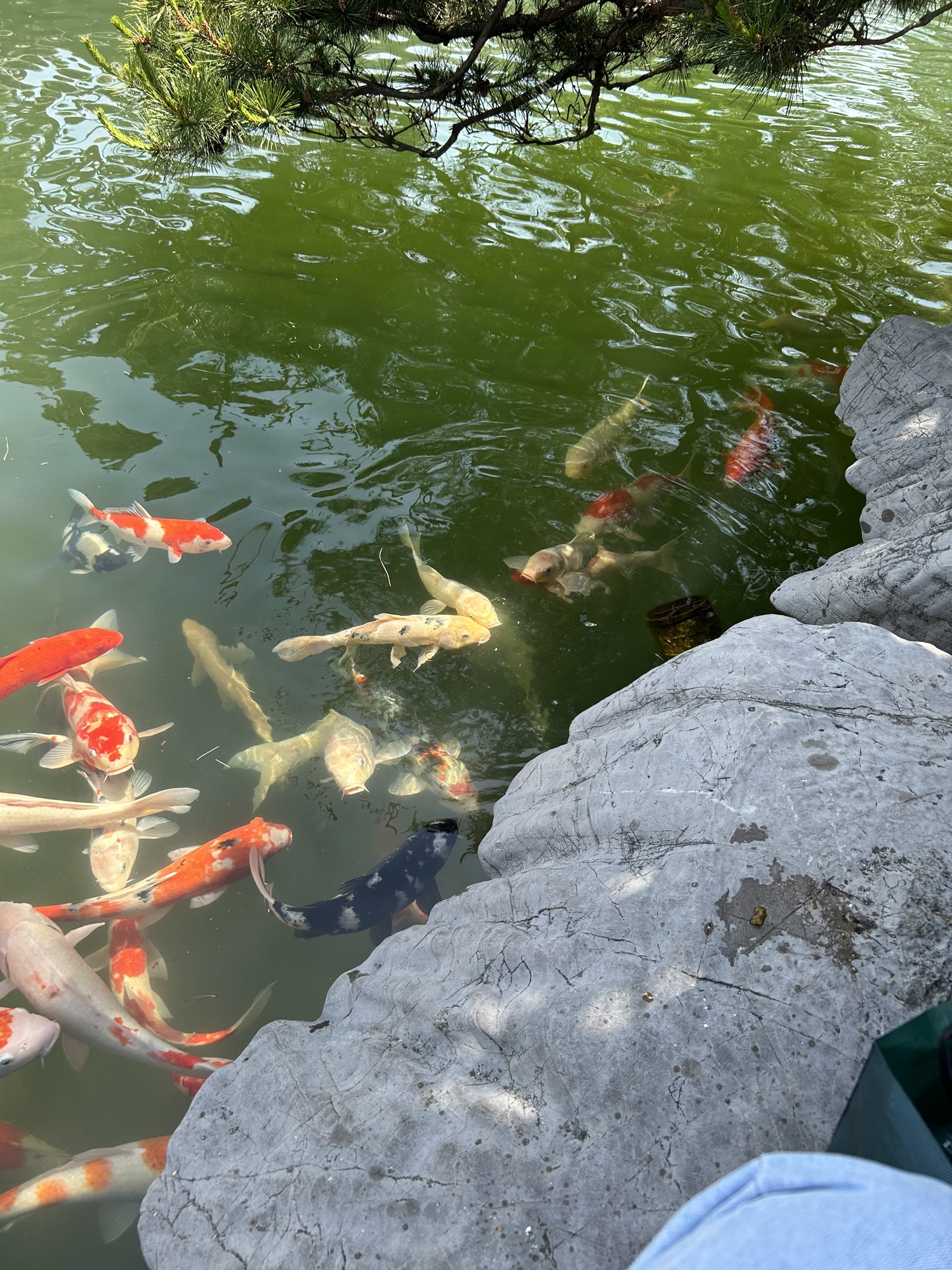 绿野欢乐谷旅行图片 1