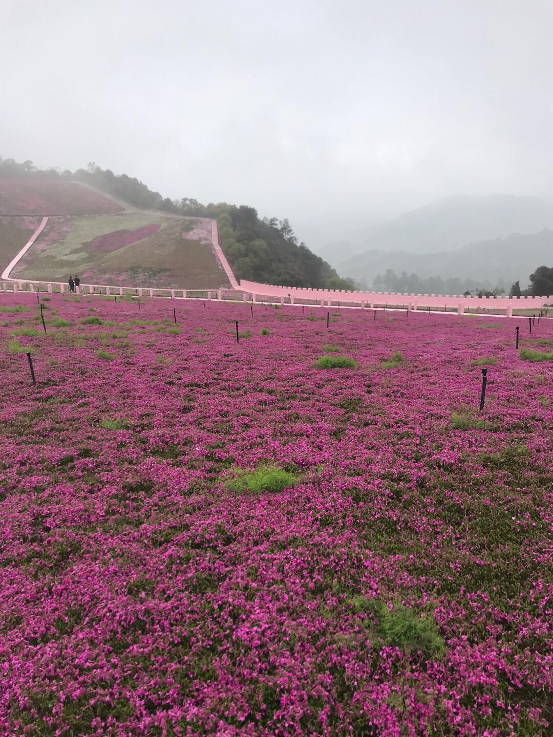 绿野欢乐谷旅行图片 2