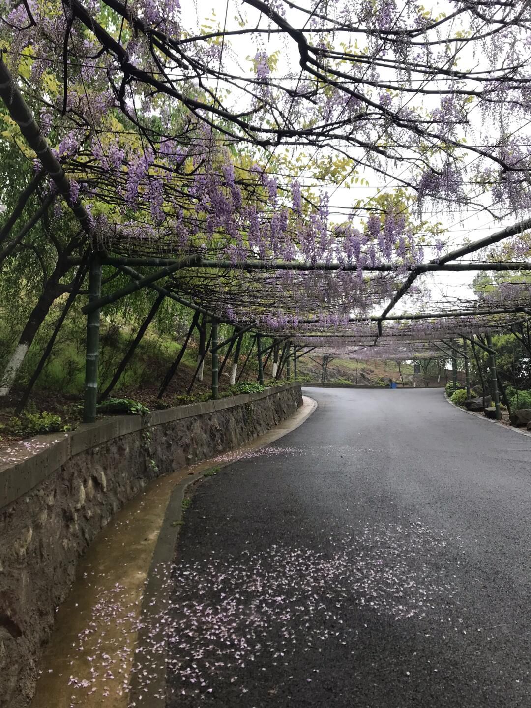 绿野欢乐谷旅行图片 1