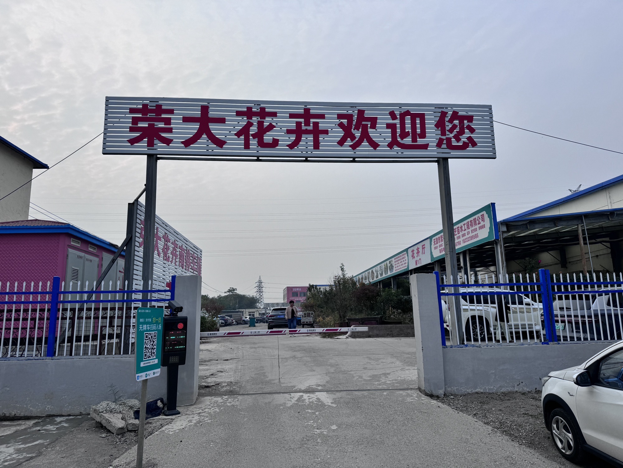 荣大花卉