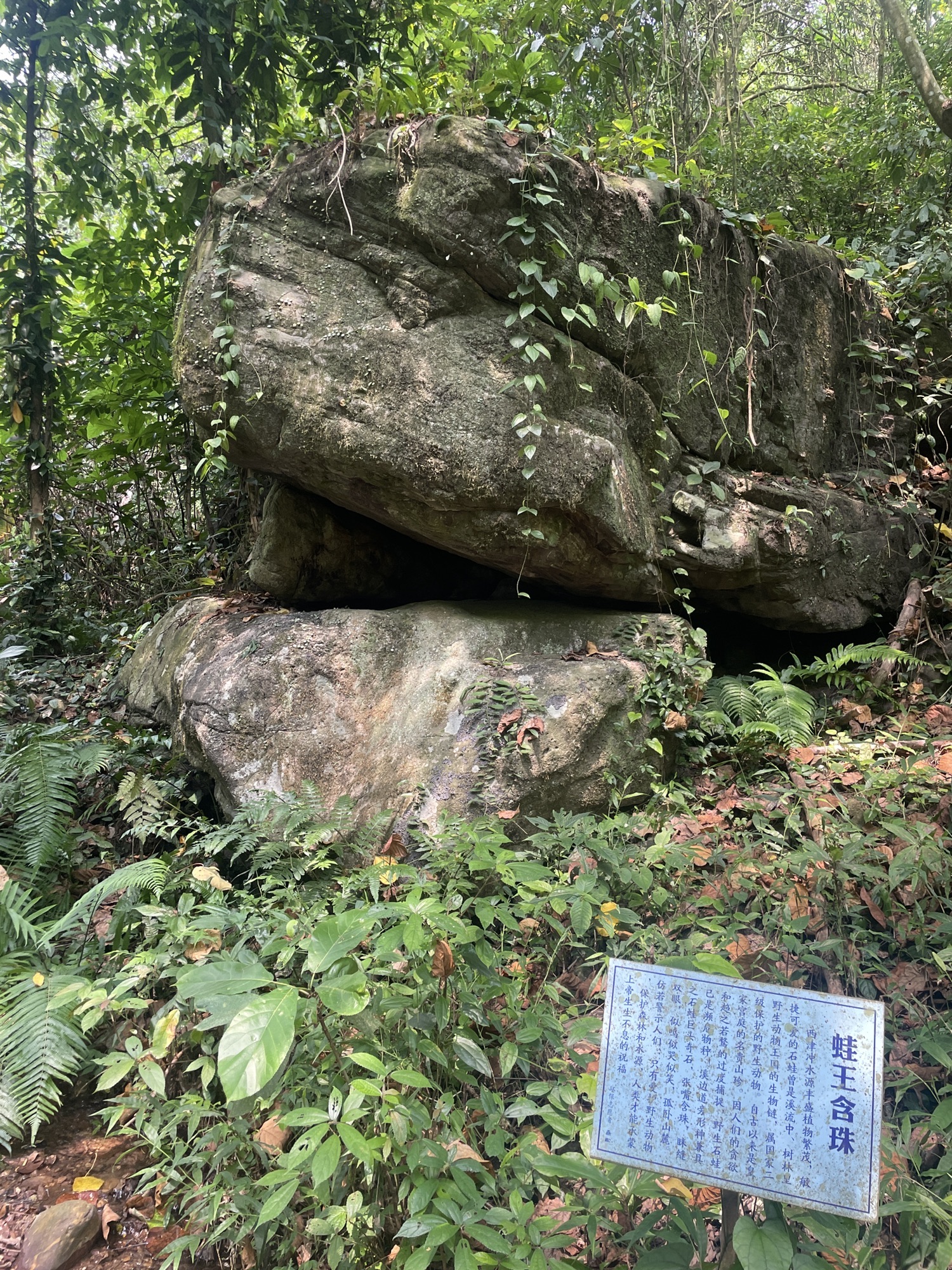 龙潭瀑布旅行图片 2
