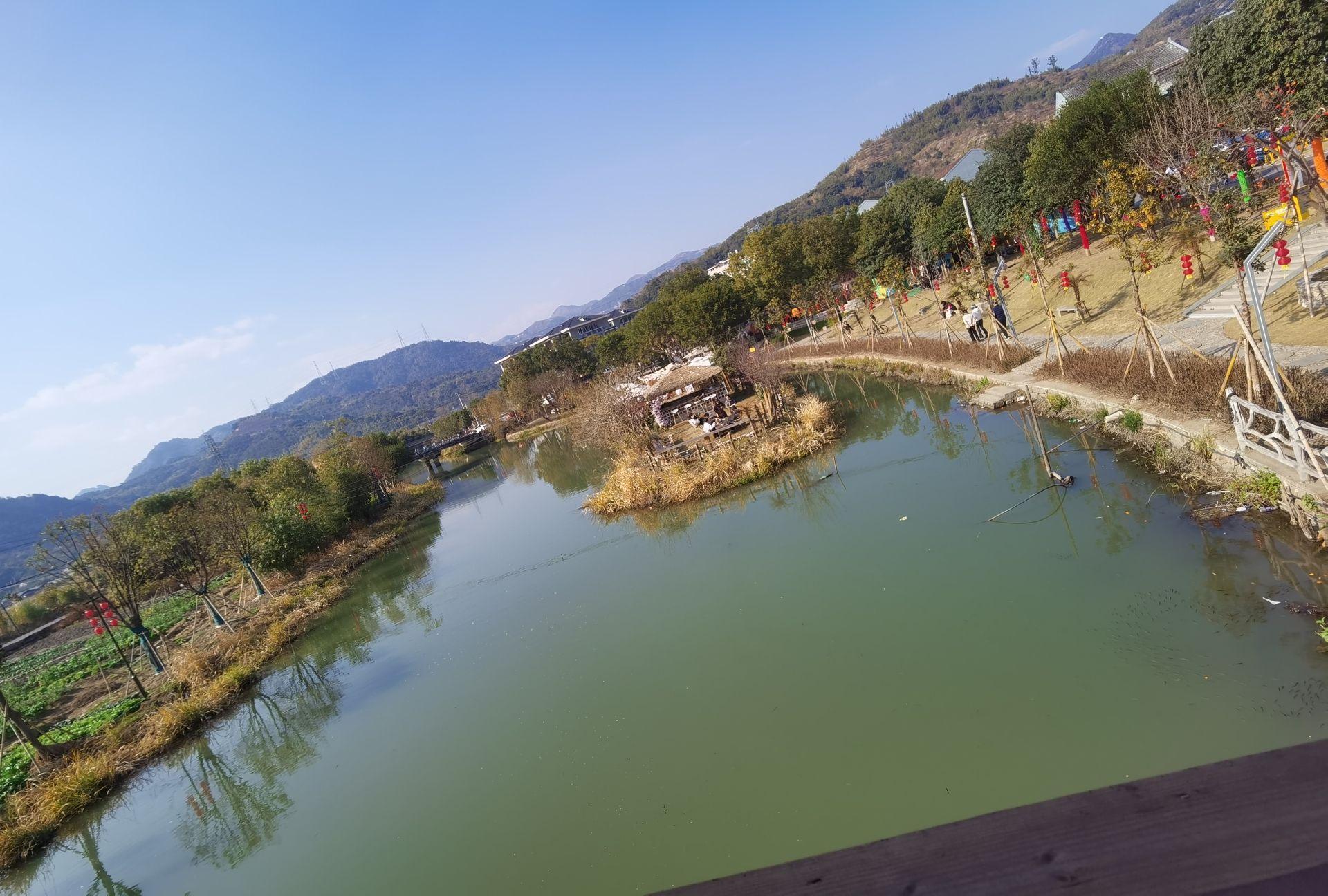灵溪镇狮山公园旅行图片 2