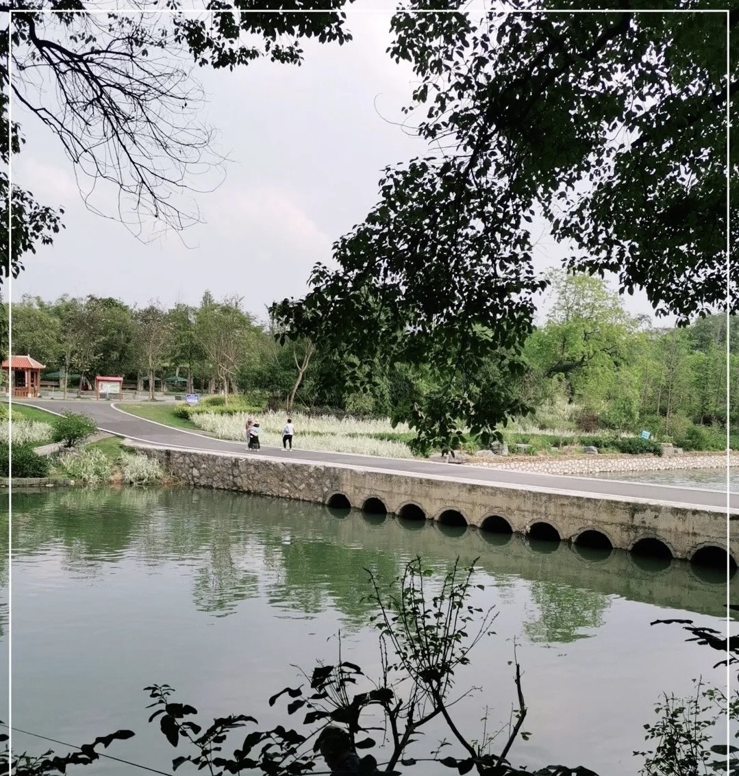 伏龙洲公园旅行图片 2