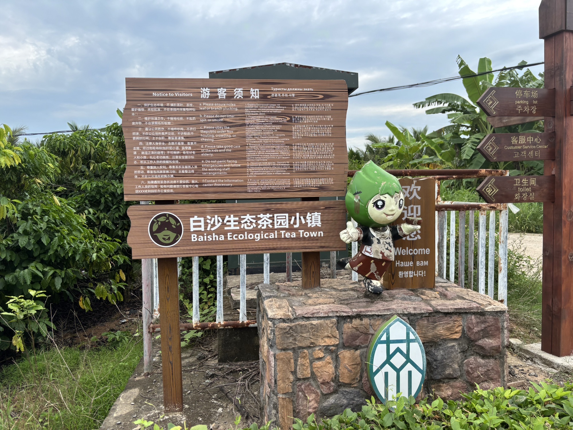 白沙原生态茶园小镇