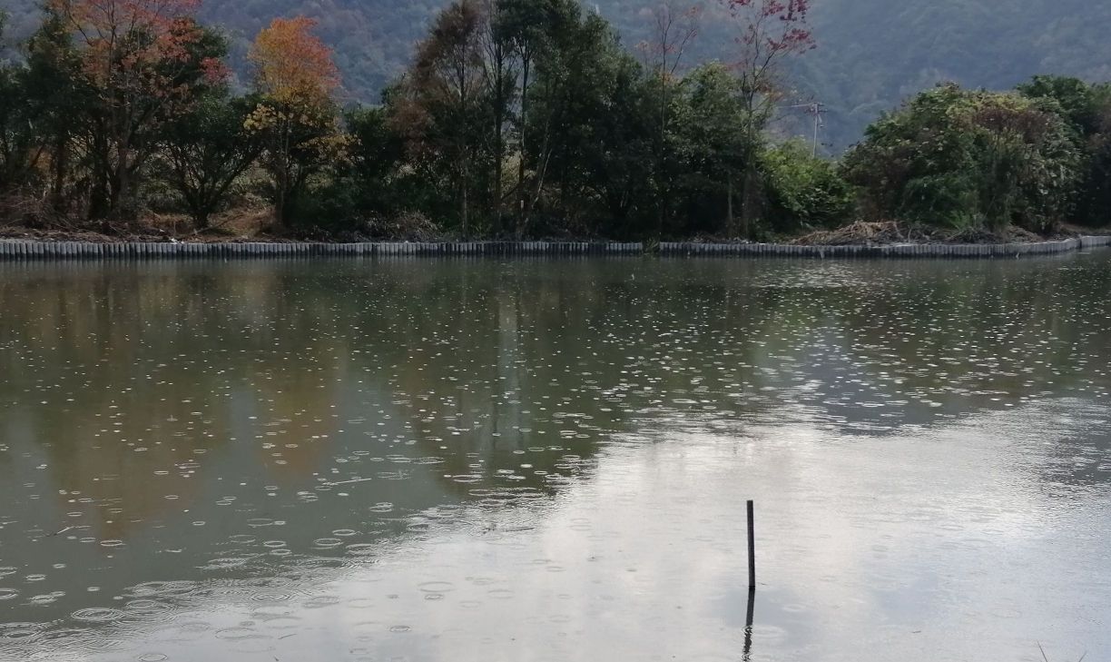 东塘河生态公园旅行图片 2