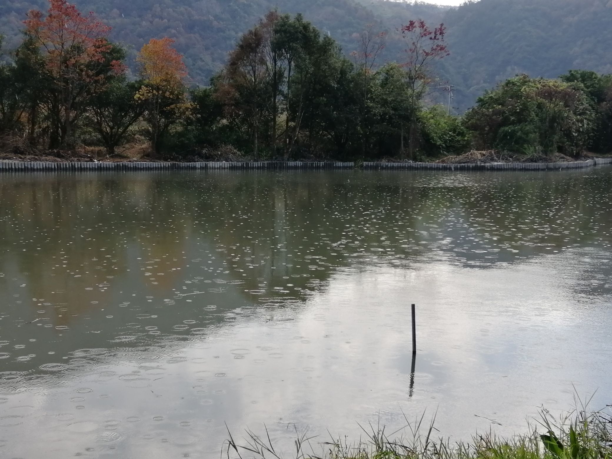 东塘河生态公园旅行图片 1