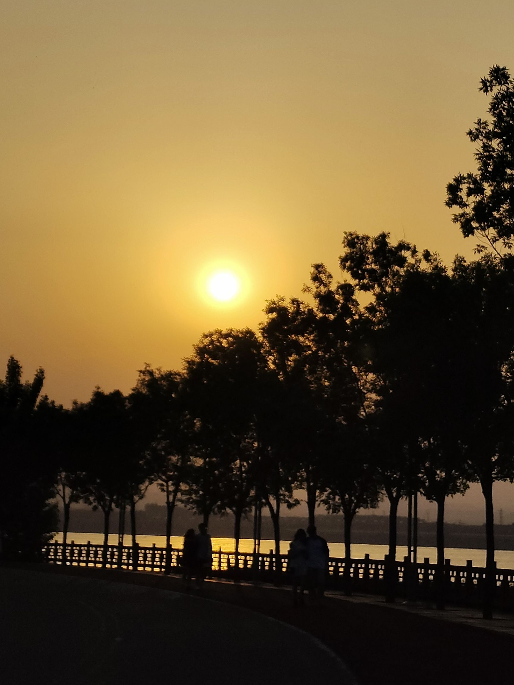 洺湖公园旅行图片 3