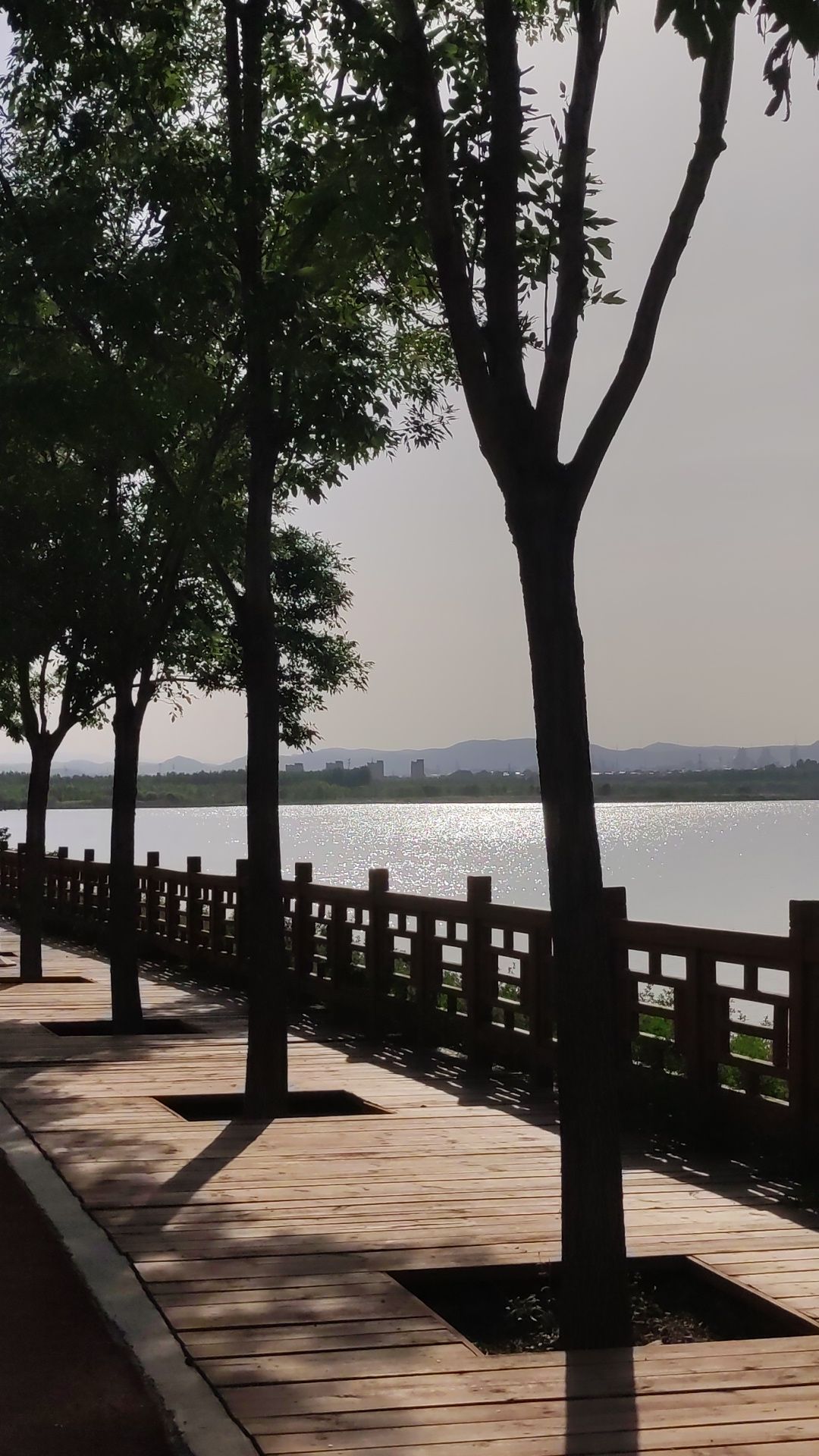 洺湖公园旅行图片 3