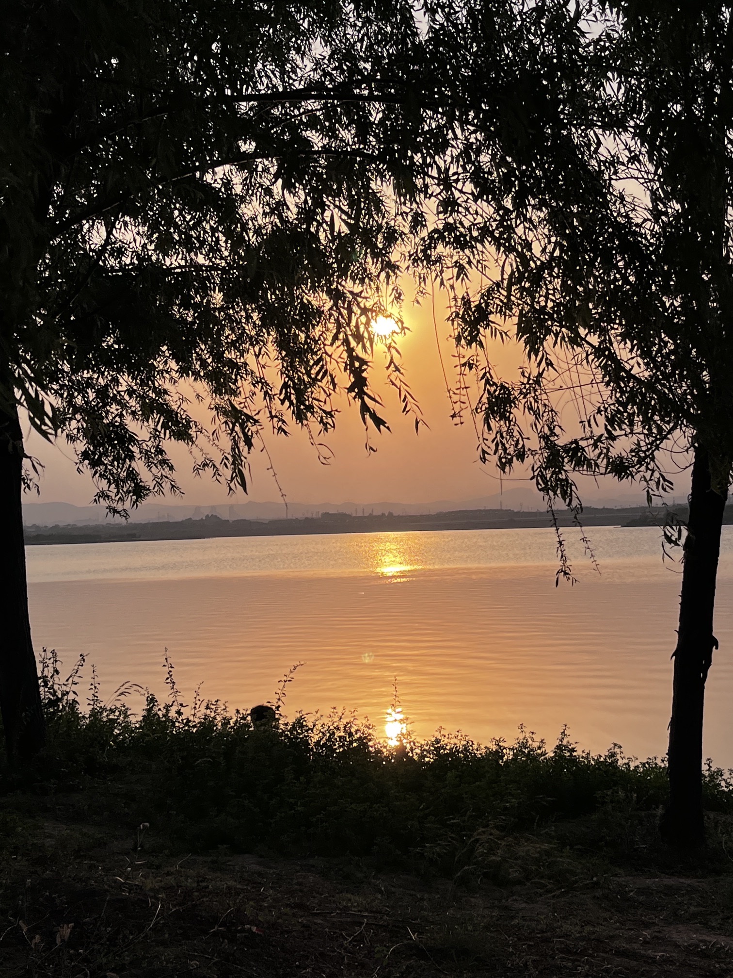 洺湖公园旅行图片 3