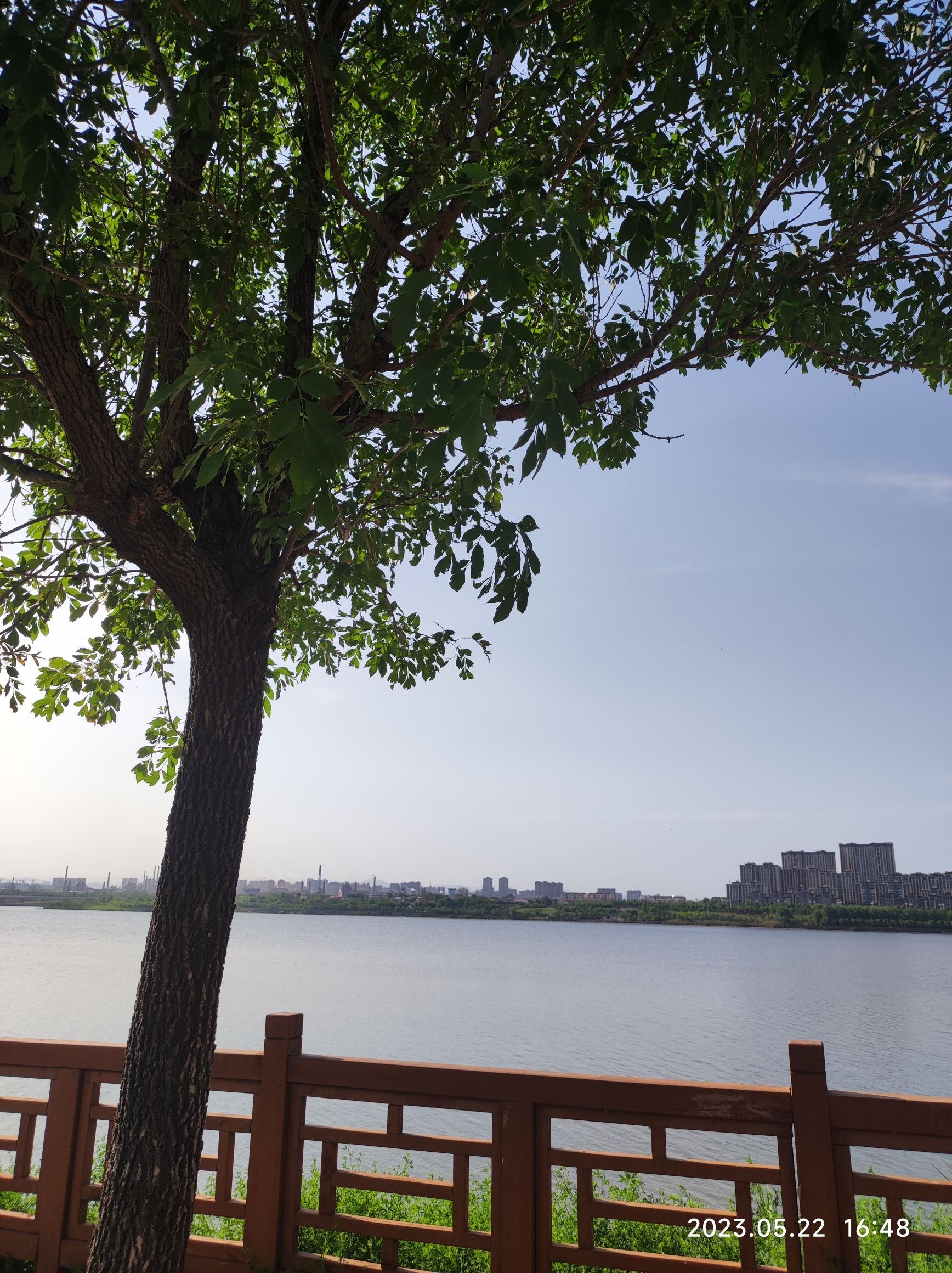 洺湖公园旅行图片 2