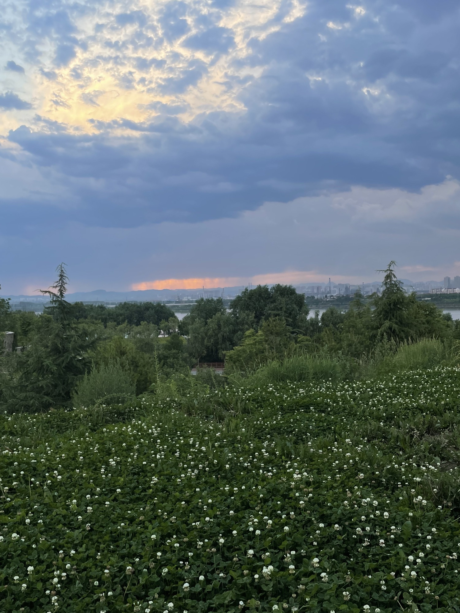 洺湖公园旅行图片