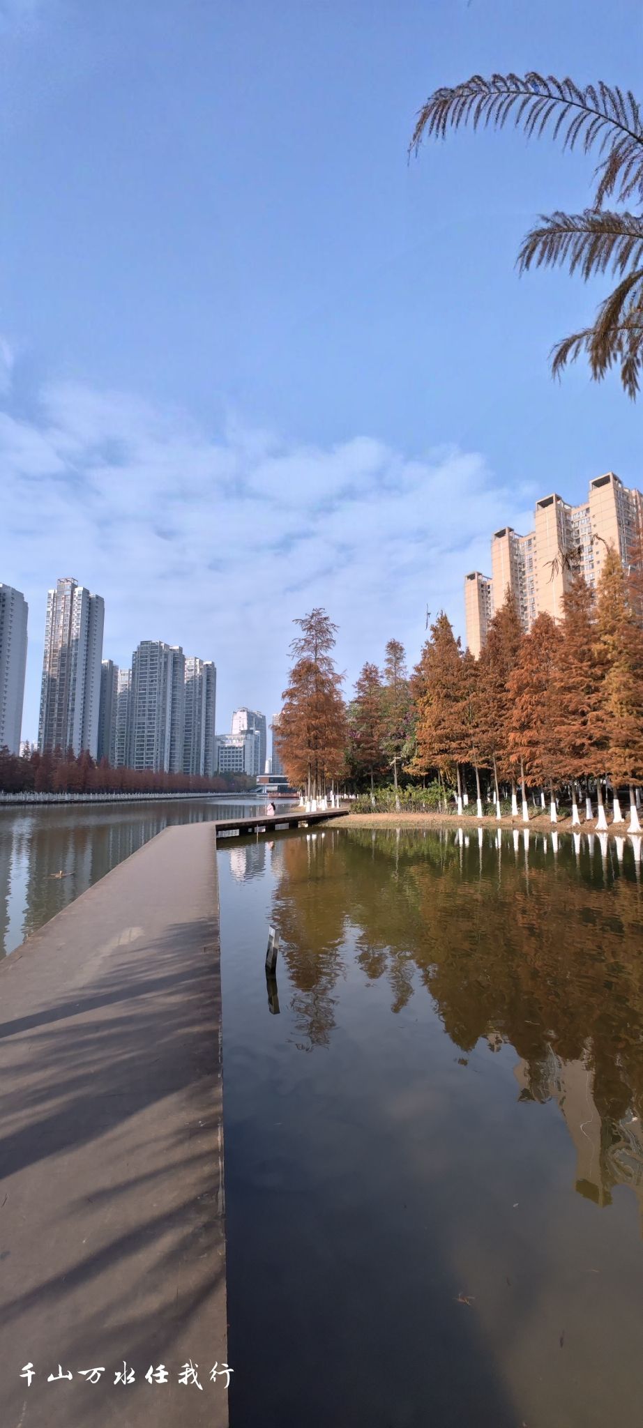 来宾市清风文化园旅行图片 2