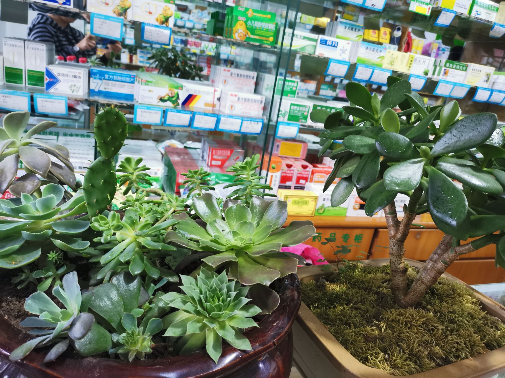九华山百康大药房