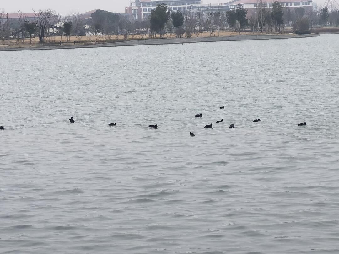兰香湖旅行图片 3