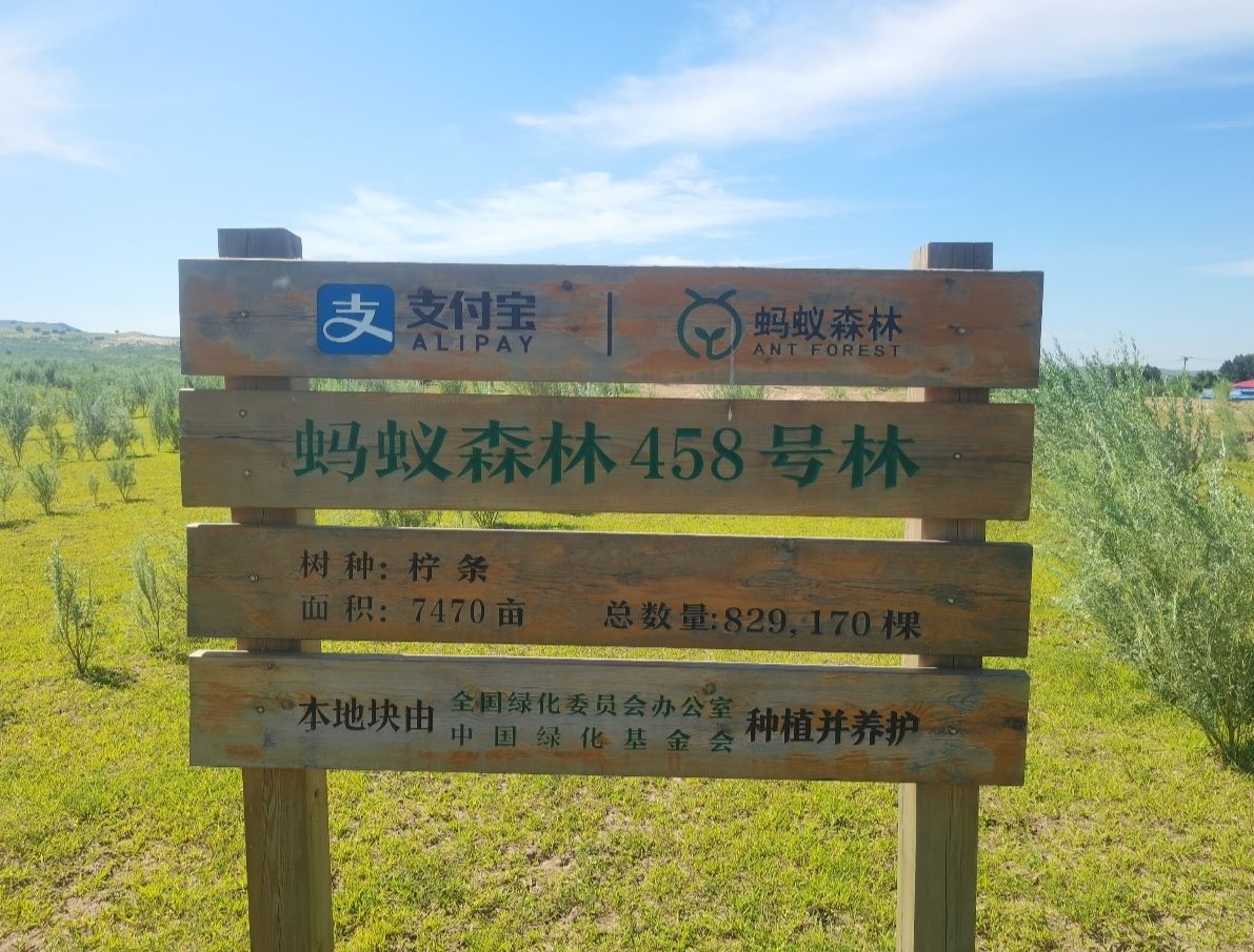 蚂蚁森林458号林·柠条旅行图片 1