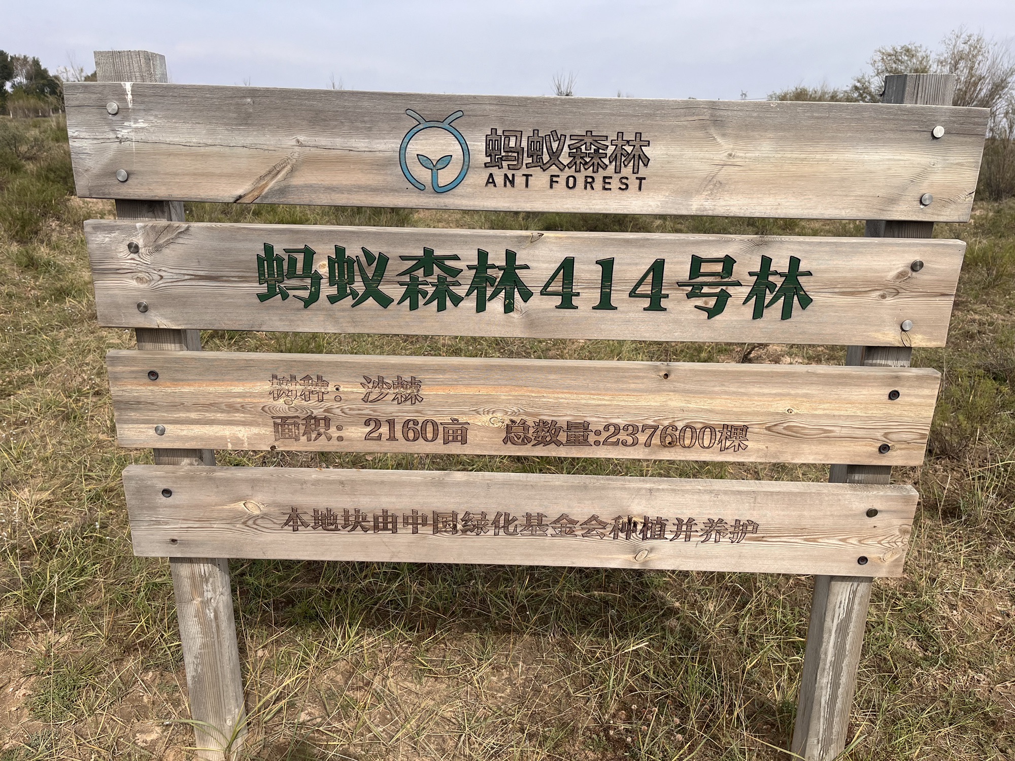 蚂蚁森林414号林·沙棘旅行图片 2
