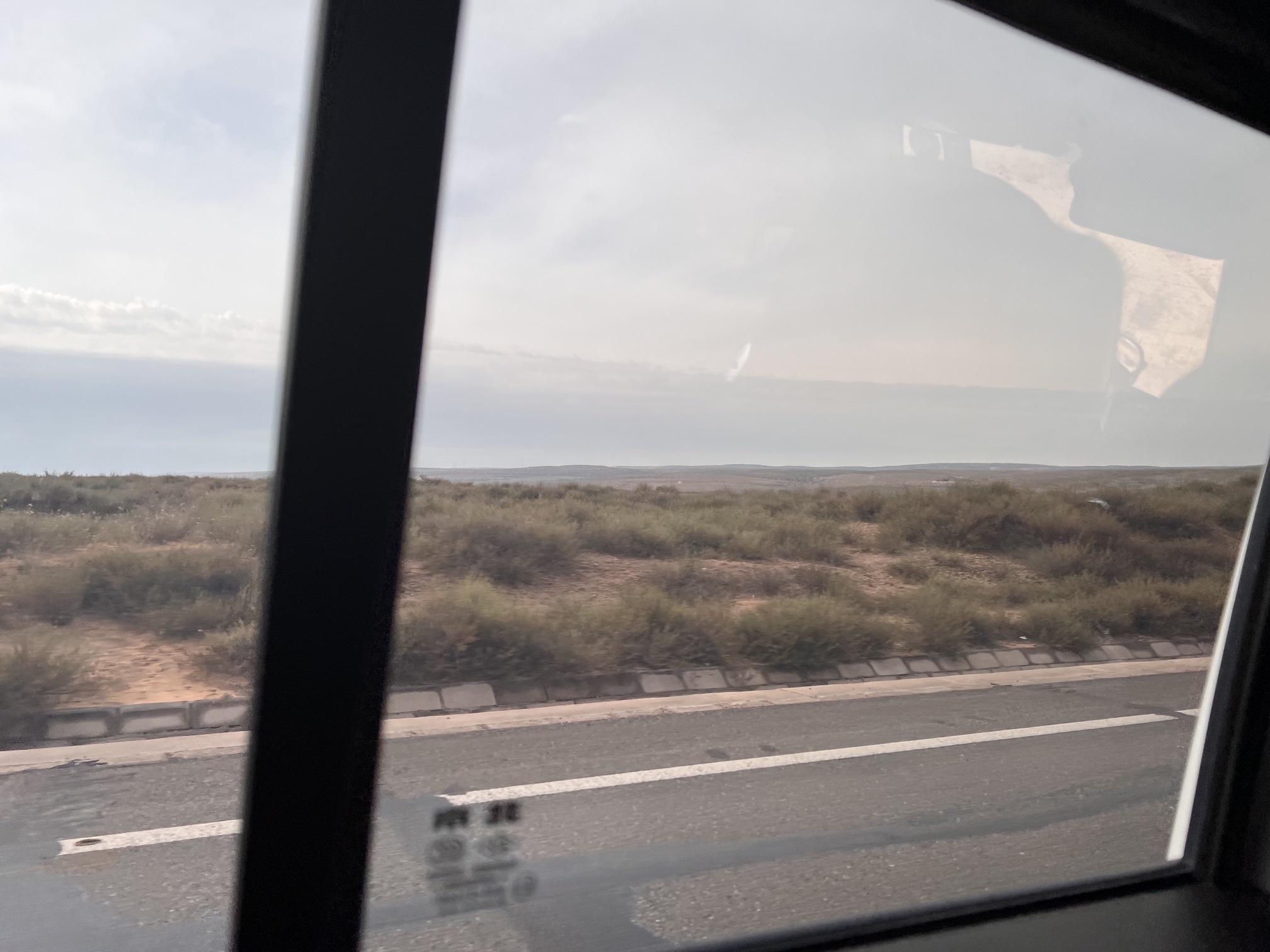 蚂蚁森林414号林·沙棘旅行图片 2