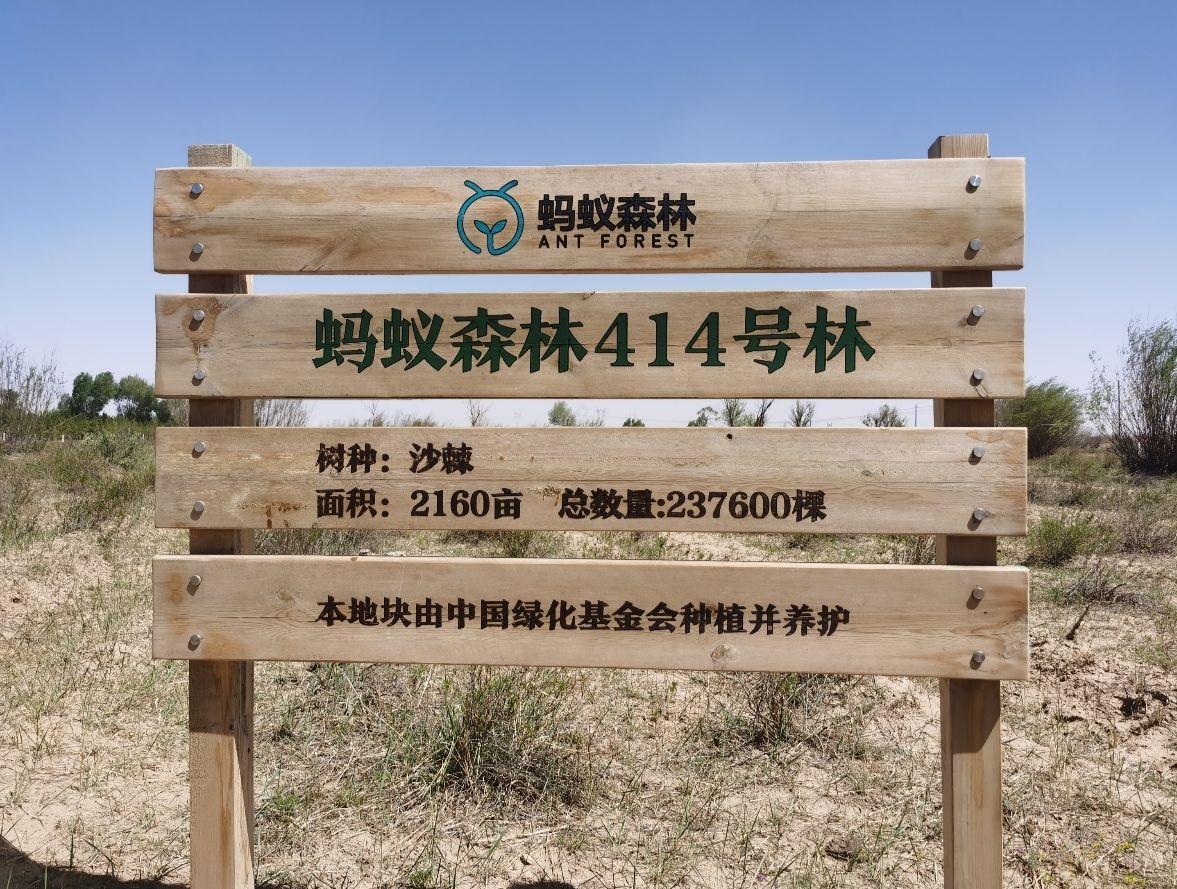 蚂蚁森林414号林·沙棘旅行图片 1