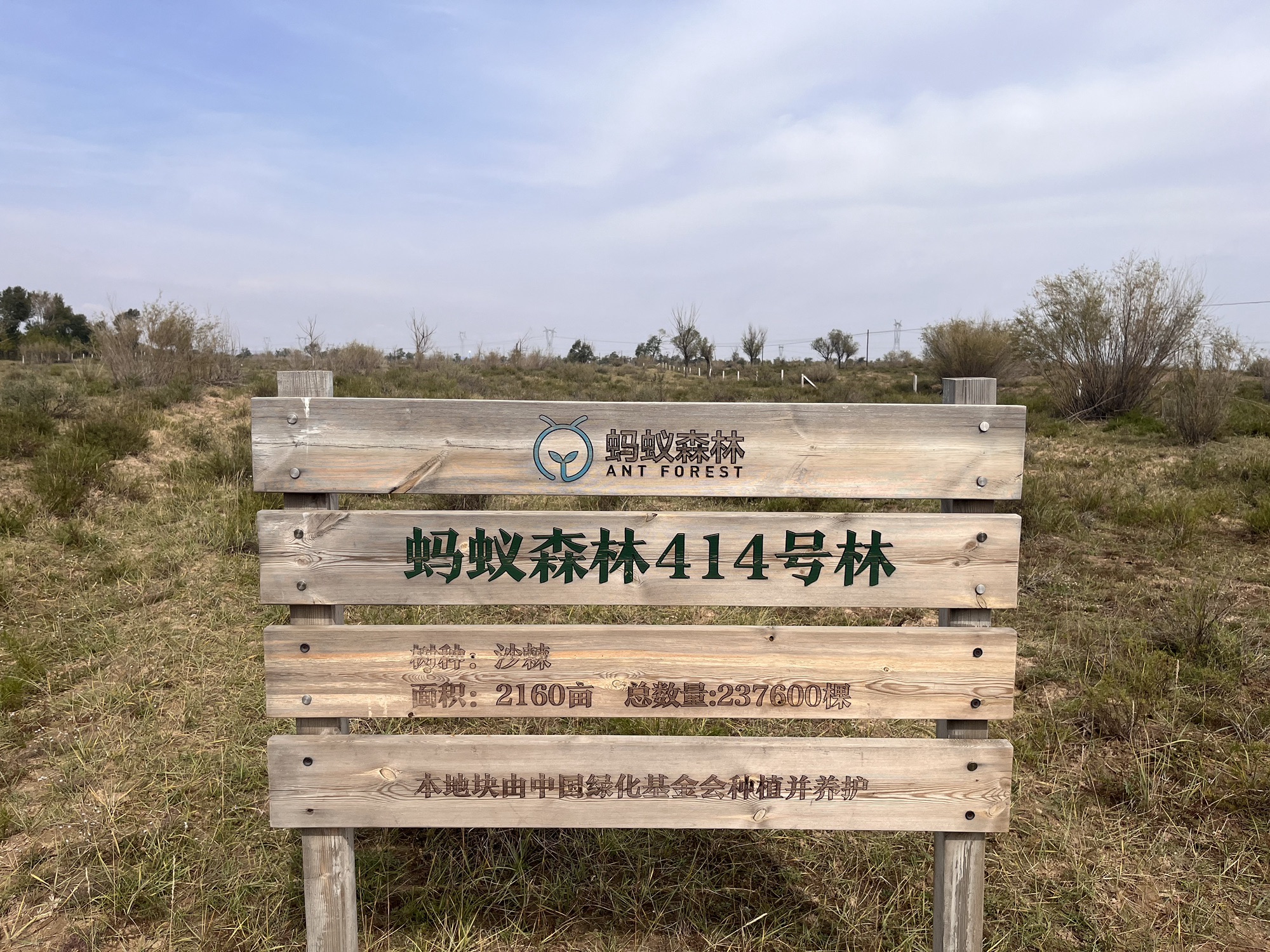 蚂蚁森林414号林·沙棘旅行图片 1