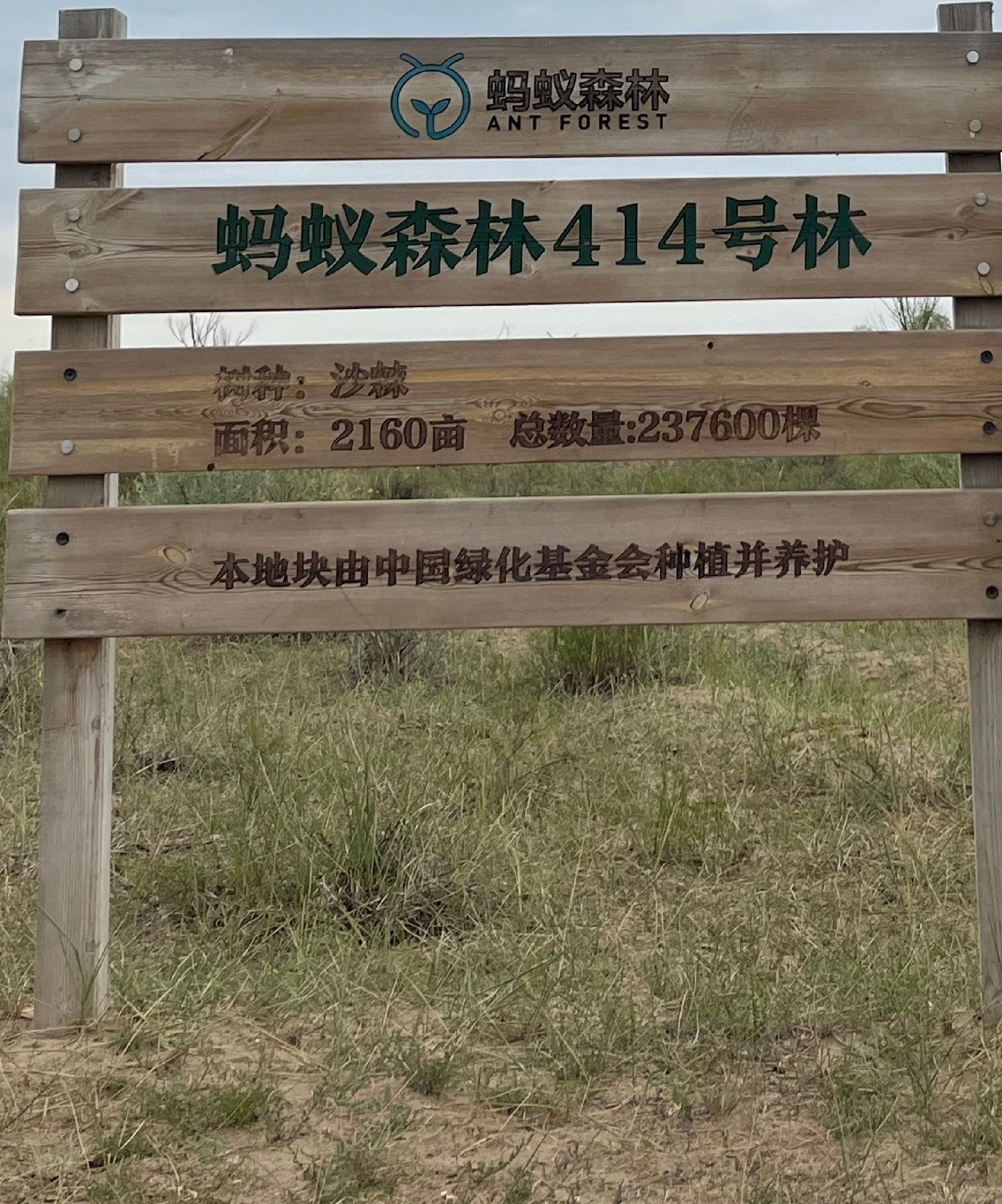 蚂蚁森林414号林·沙棘旅行图片 1