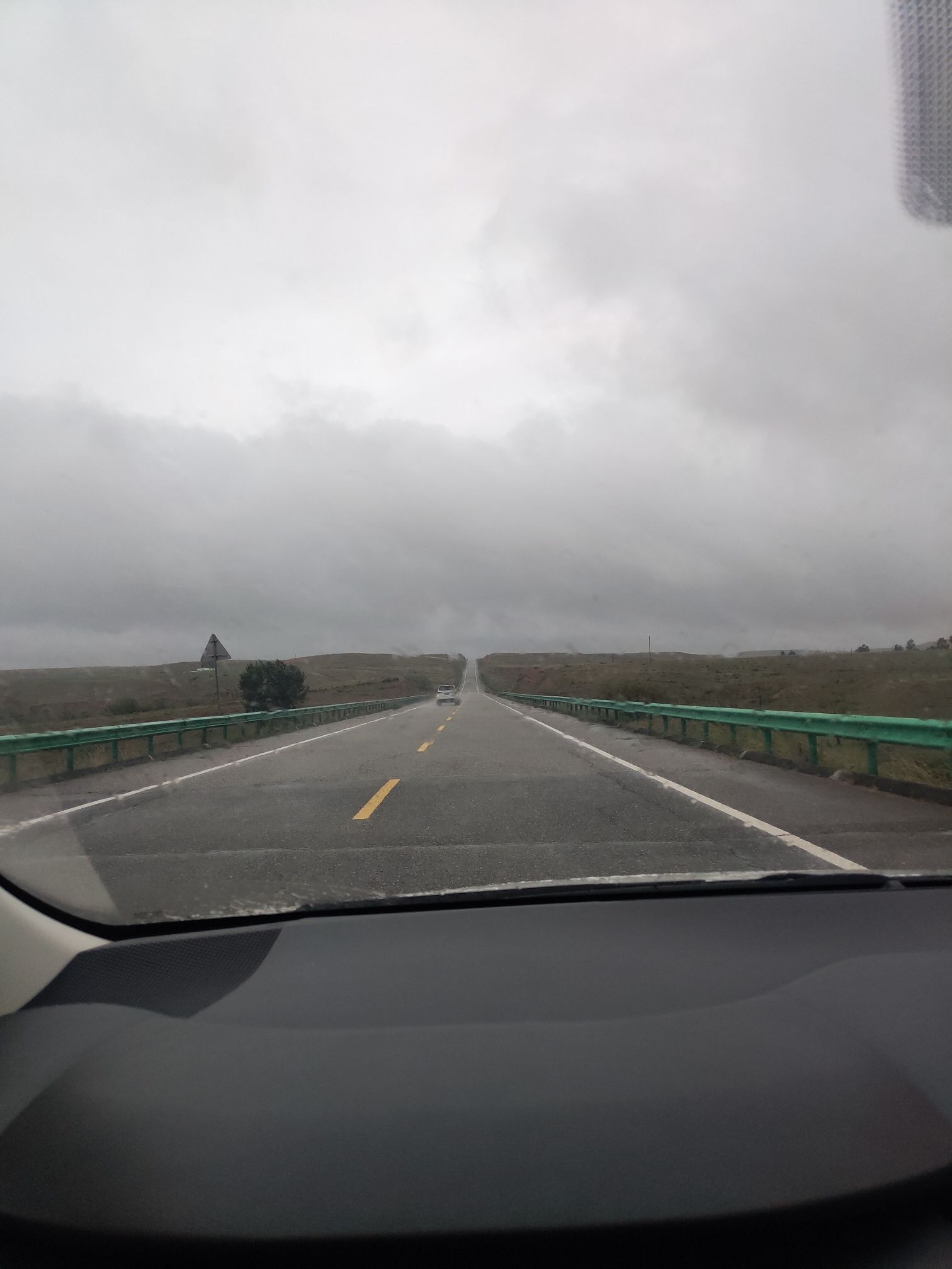 蚂蚁森林415号林·沙棘旅行图片 3