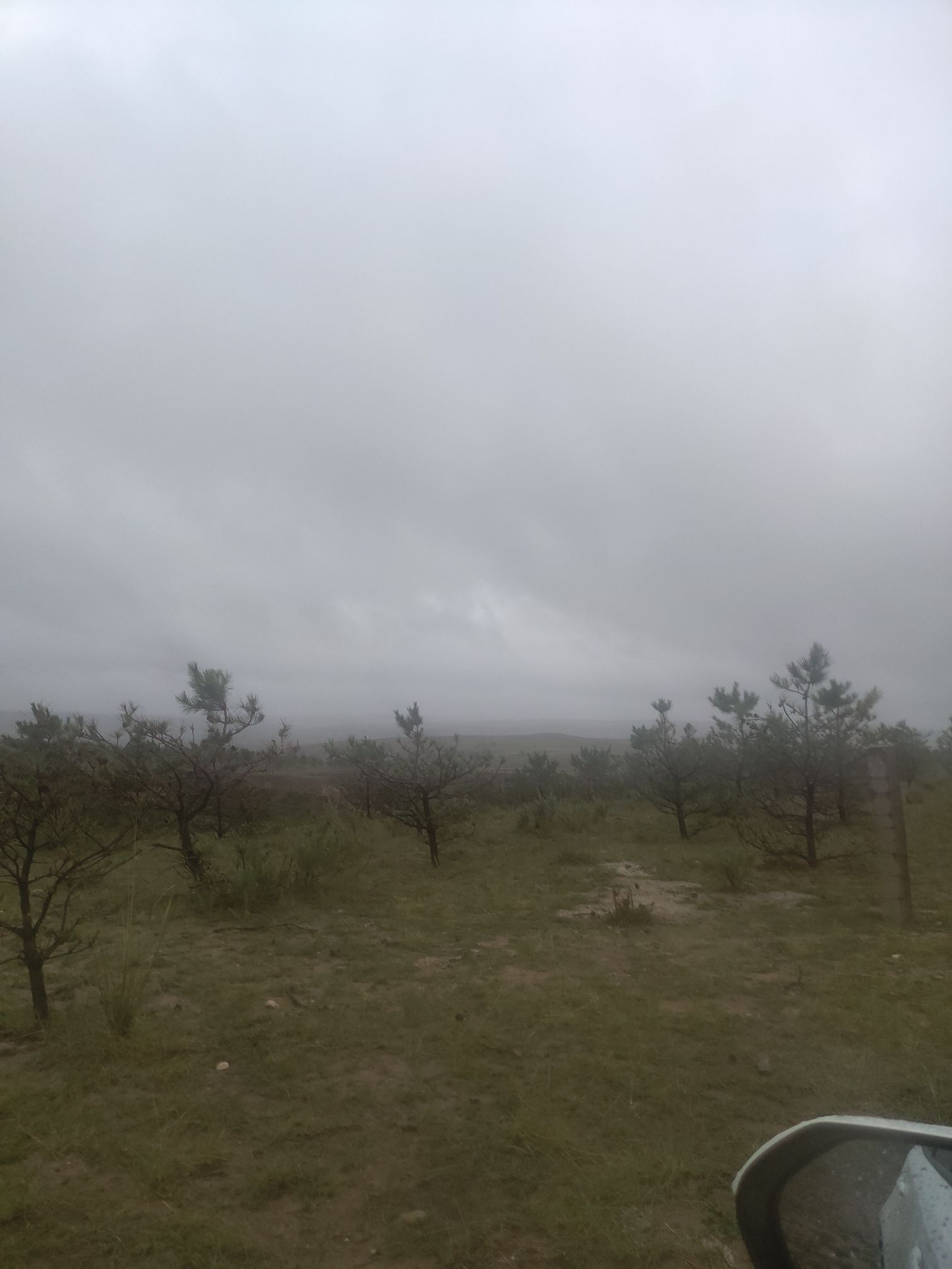 蚂蚁森林415号林·沙棘旅行图片 1