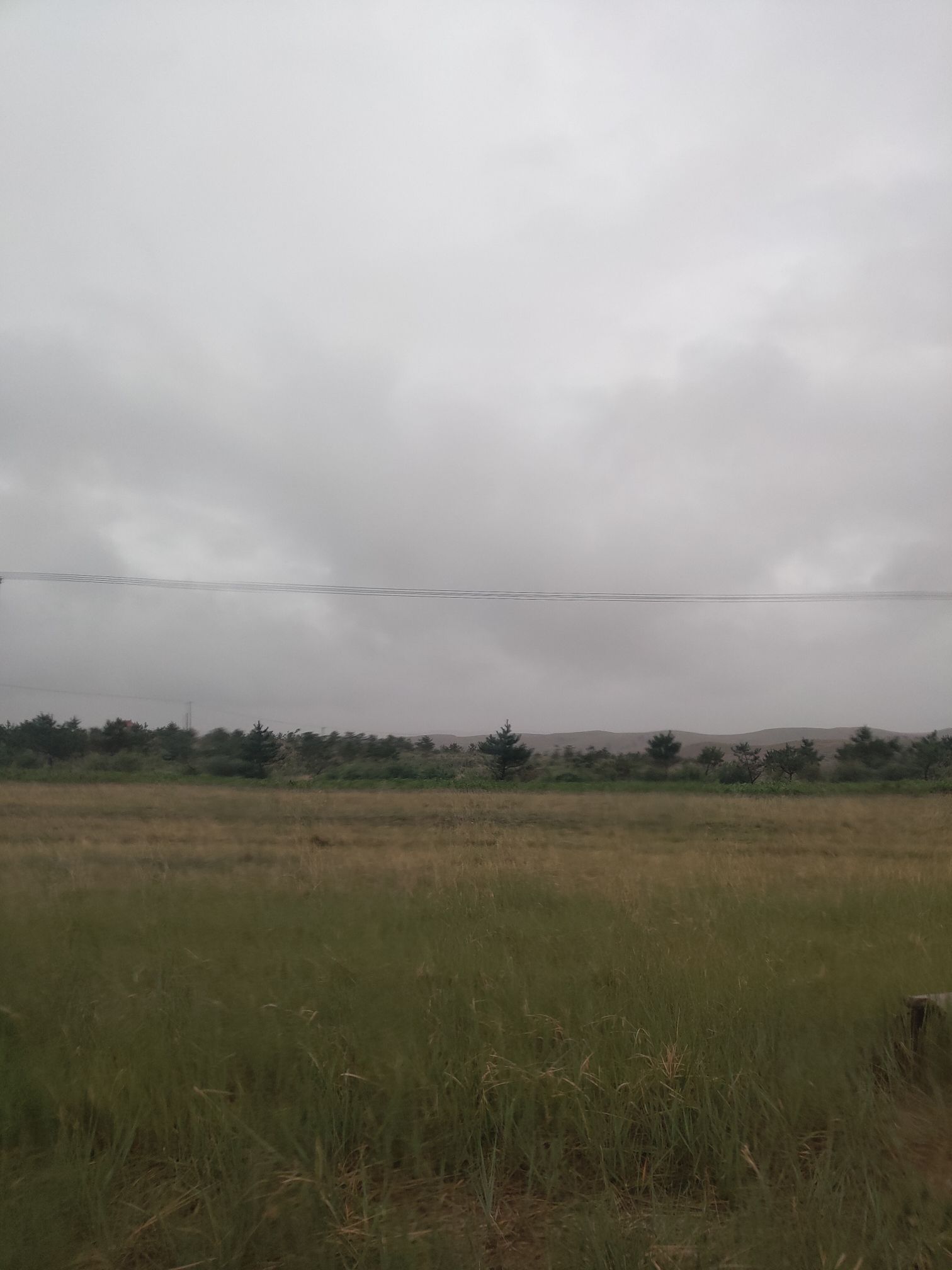 蚂蚁森林415号林·沙棘旅行图片 2