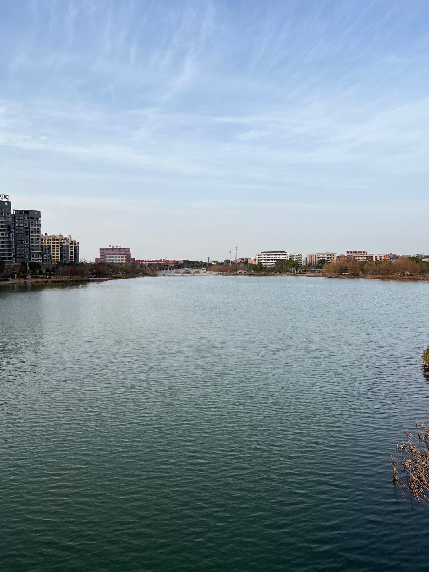 状元湖生态湿地公园旅行图片 3