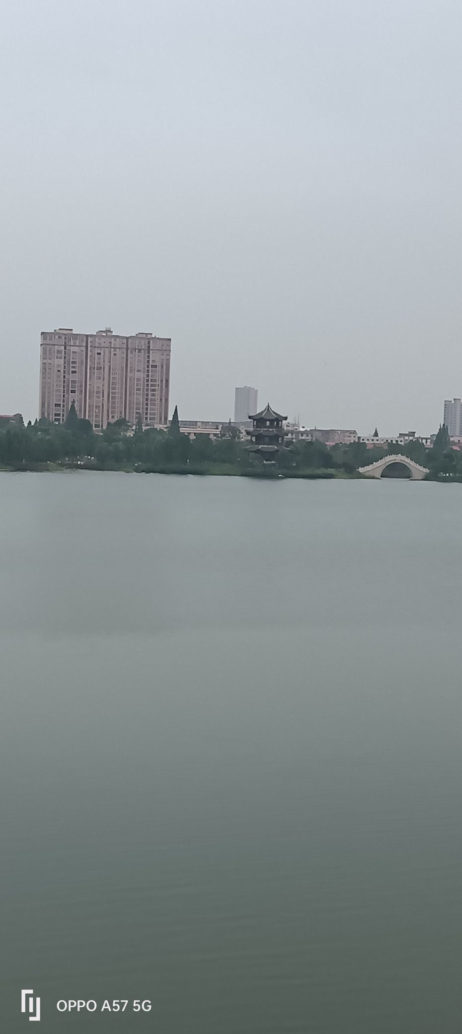 状元湖生态湿地公园旅行图片 3