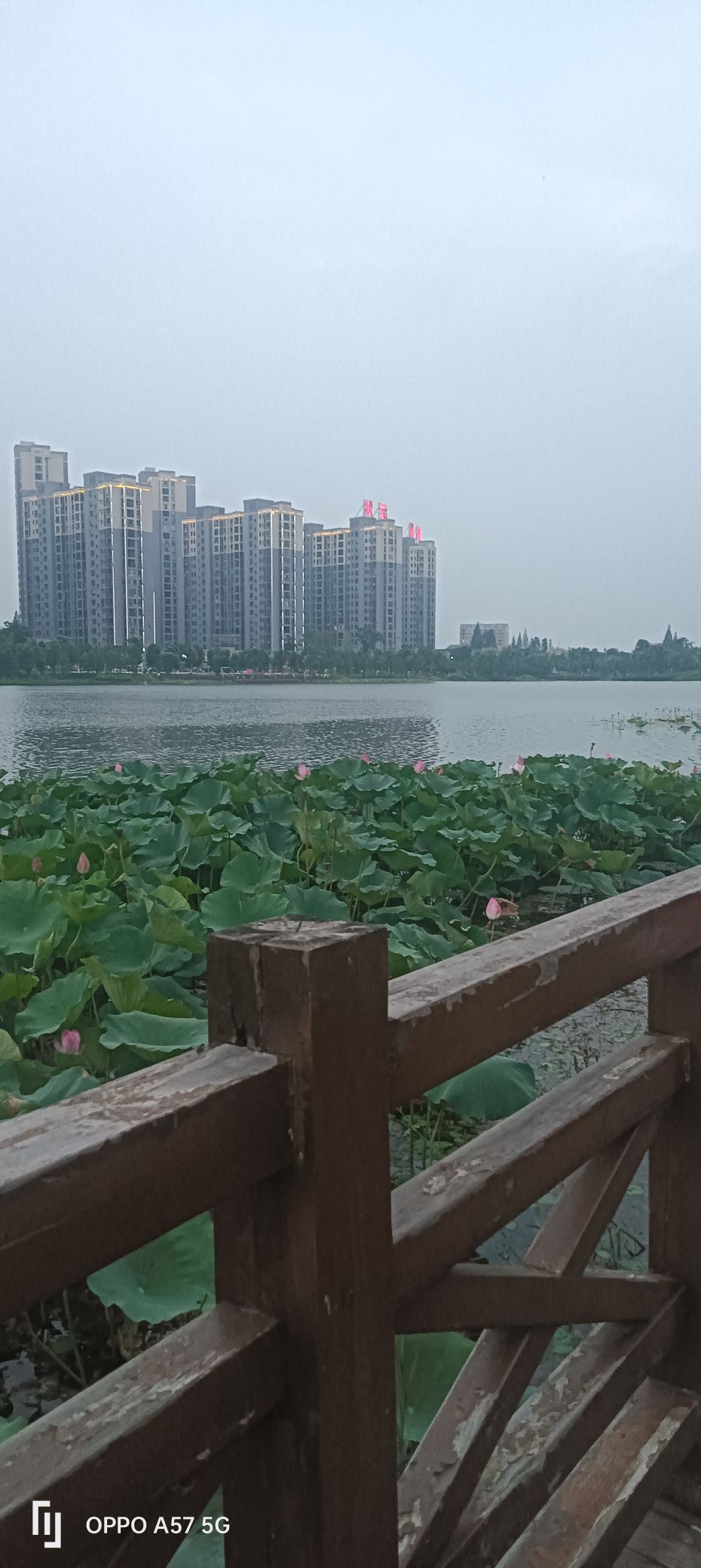 状元湖生态湿地公园旅行图片 2