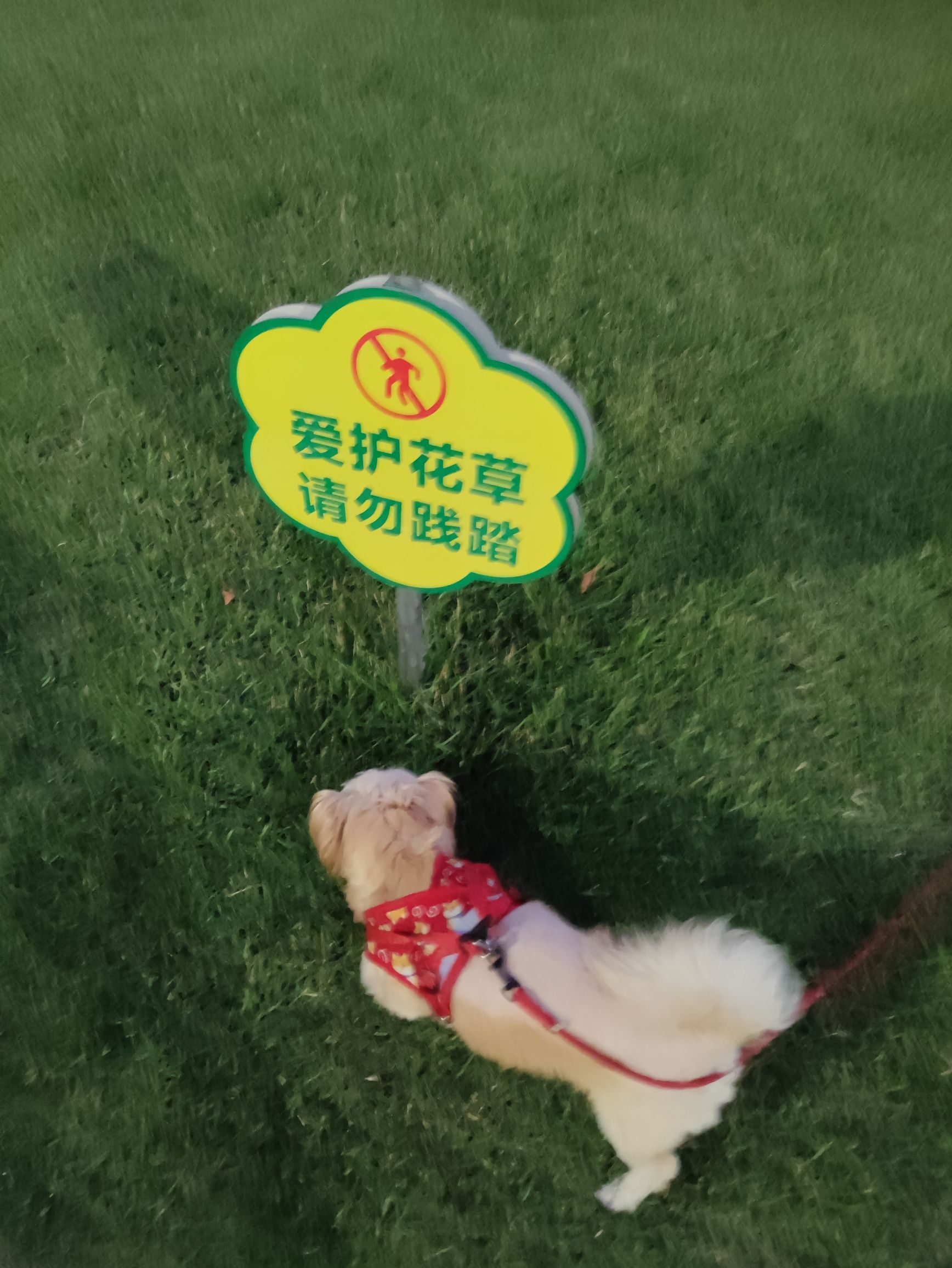 人民公园旅行图片 2