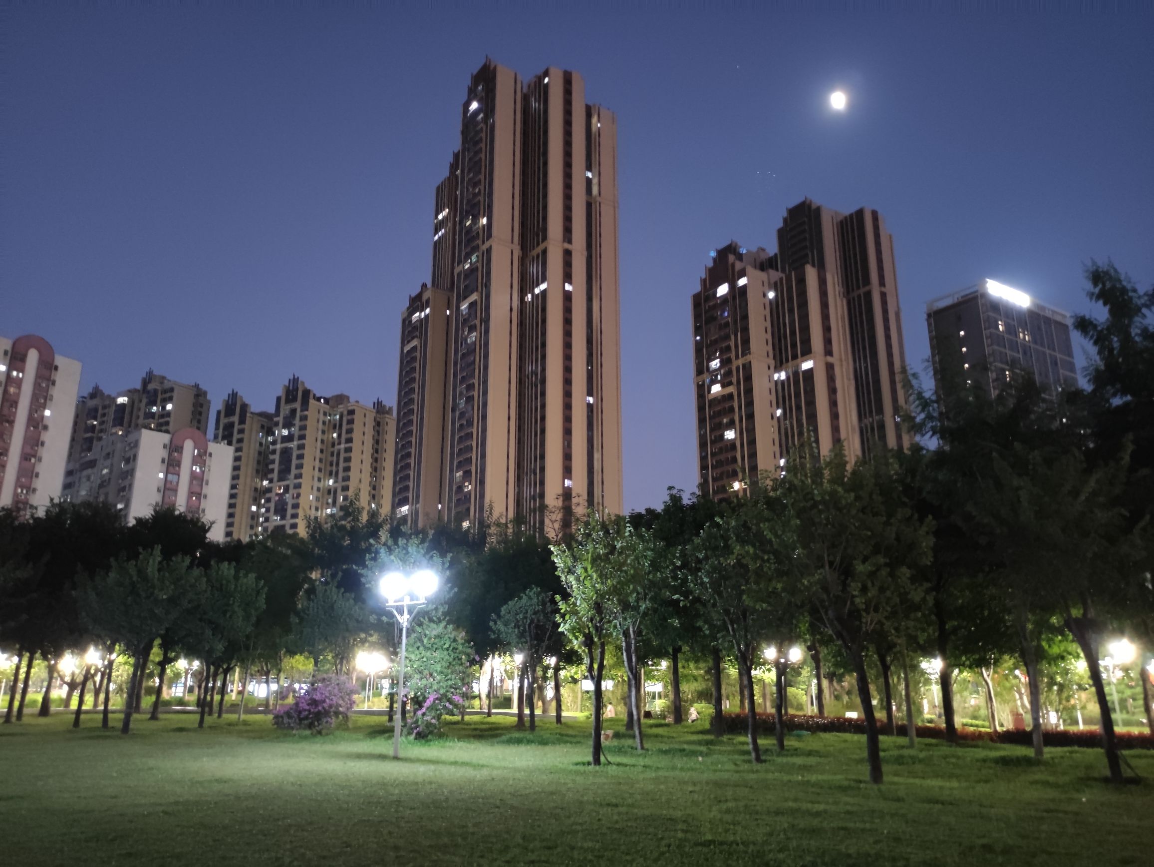 人民公园旅行图片 3