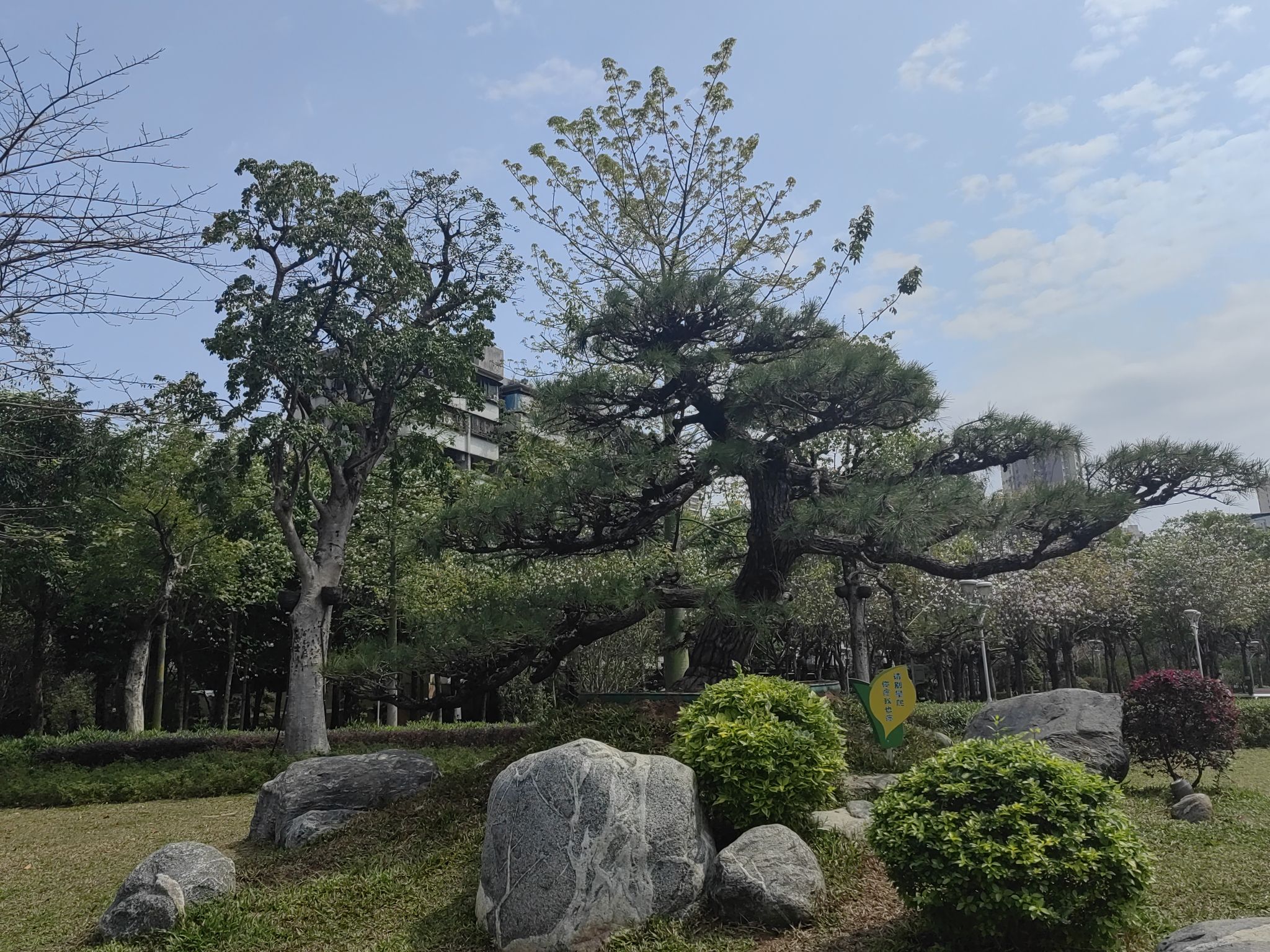 人民公园旅行图片 3