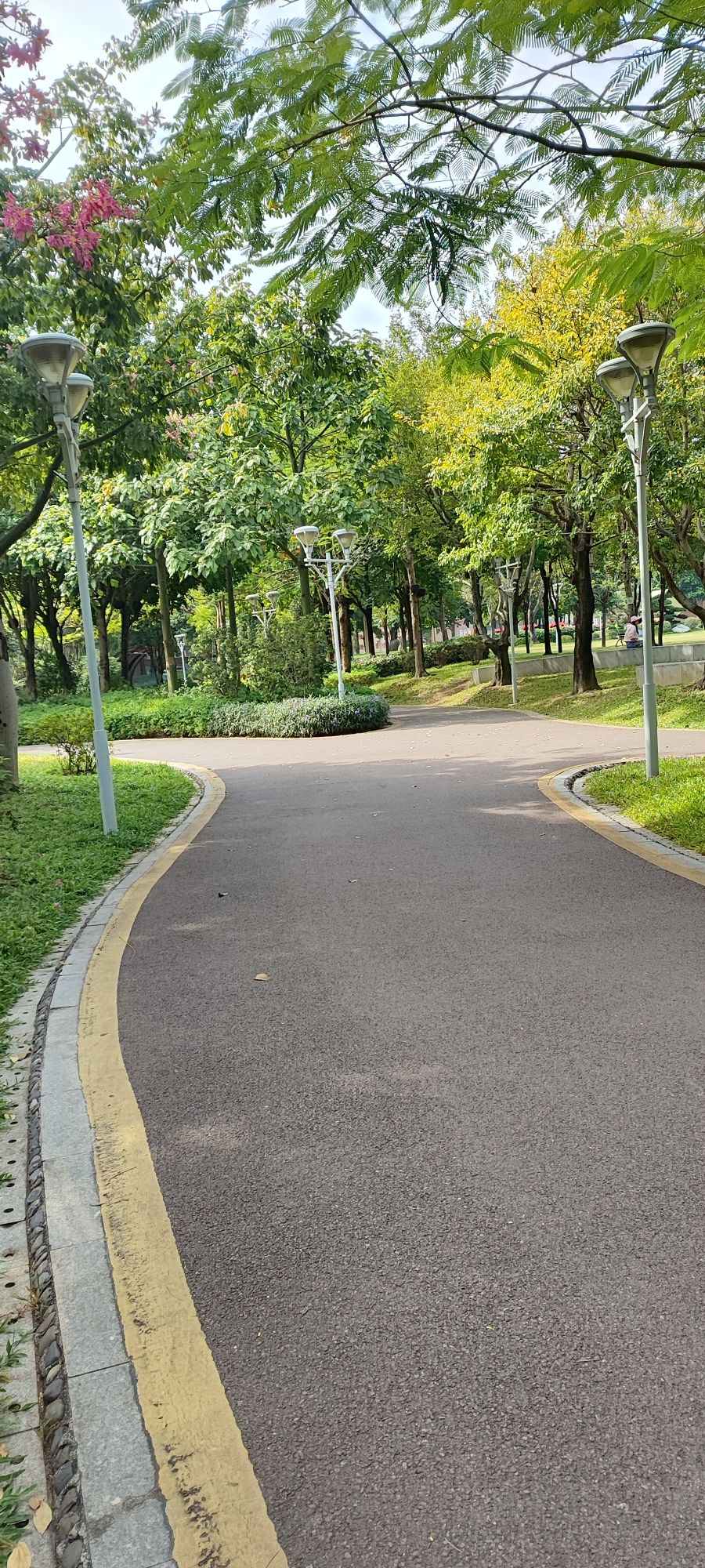 人民公园旅行图片 2