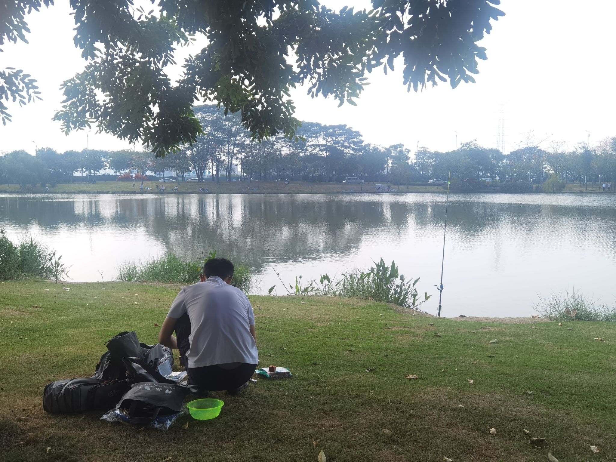 佛山市水都小镇湿地公园旅行图片 2