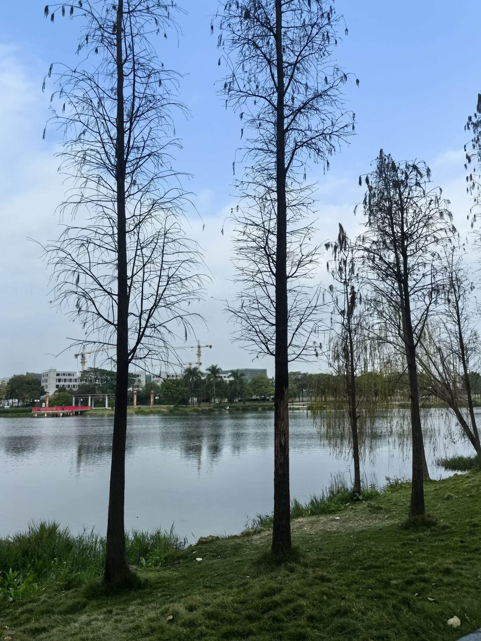 佛山市水都小镇湿地公园旅行图片 1