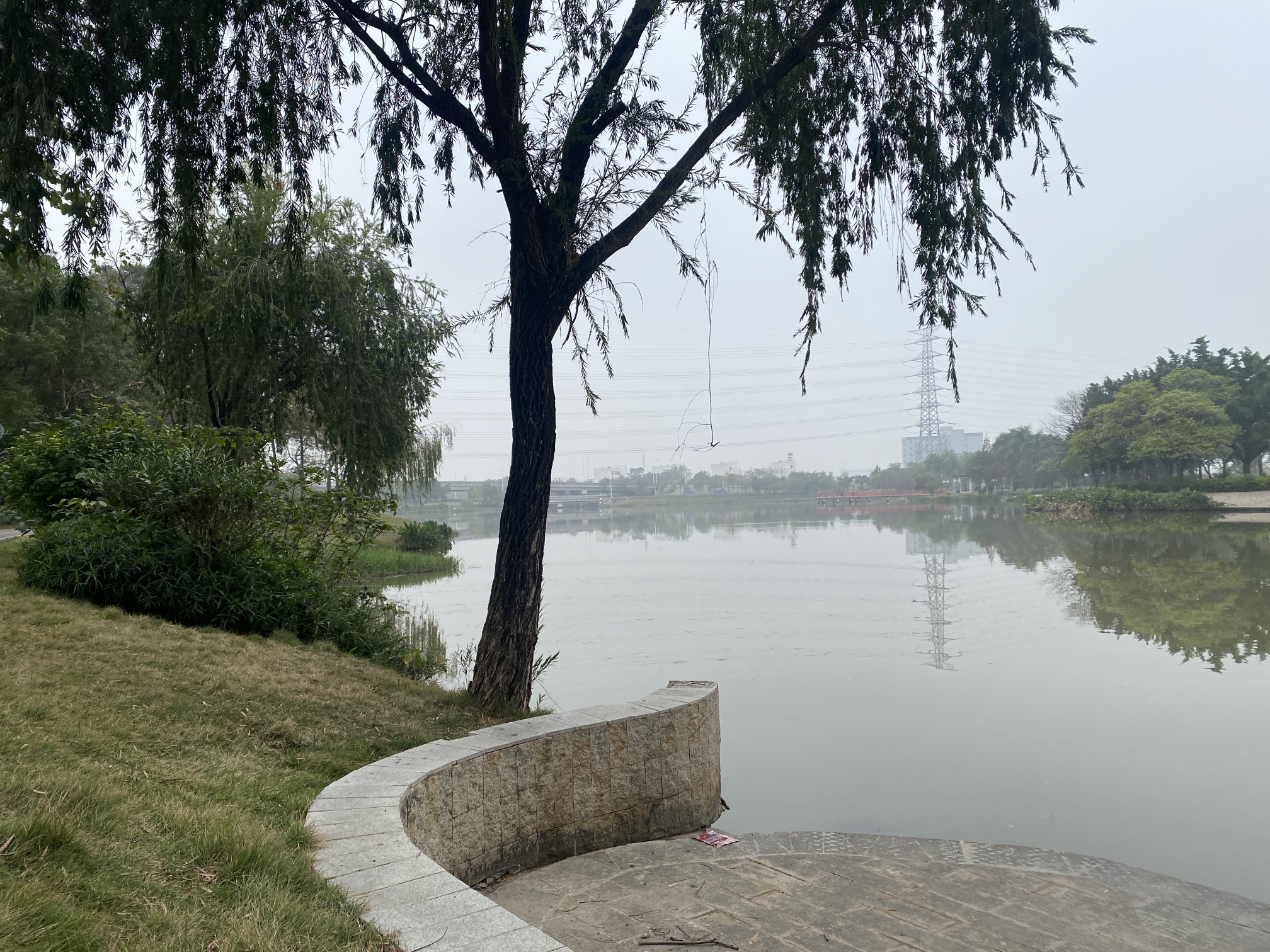 佛山市水都小镇湿地公园旅行图片 3