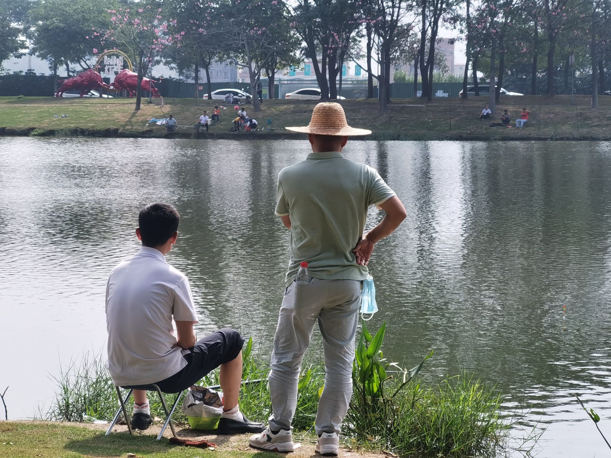 佛山市水都小镇湿地公园旅行图片 1