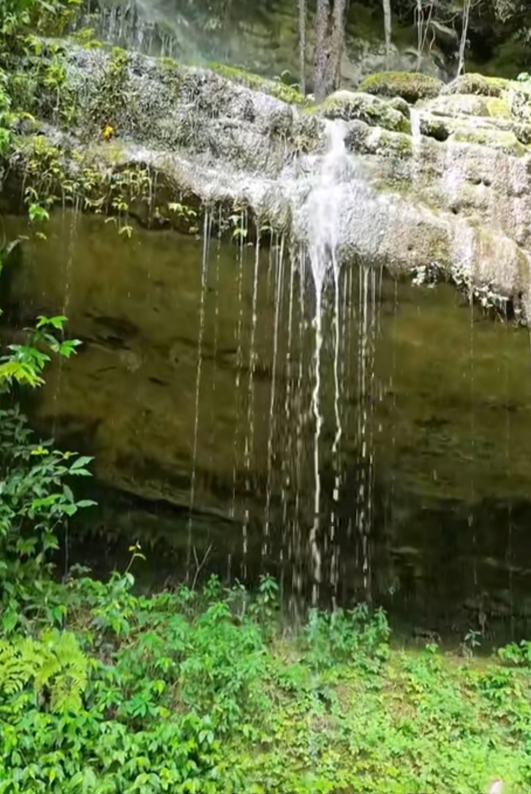 龙涎瀑布旅行图片 3