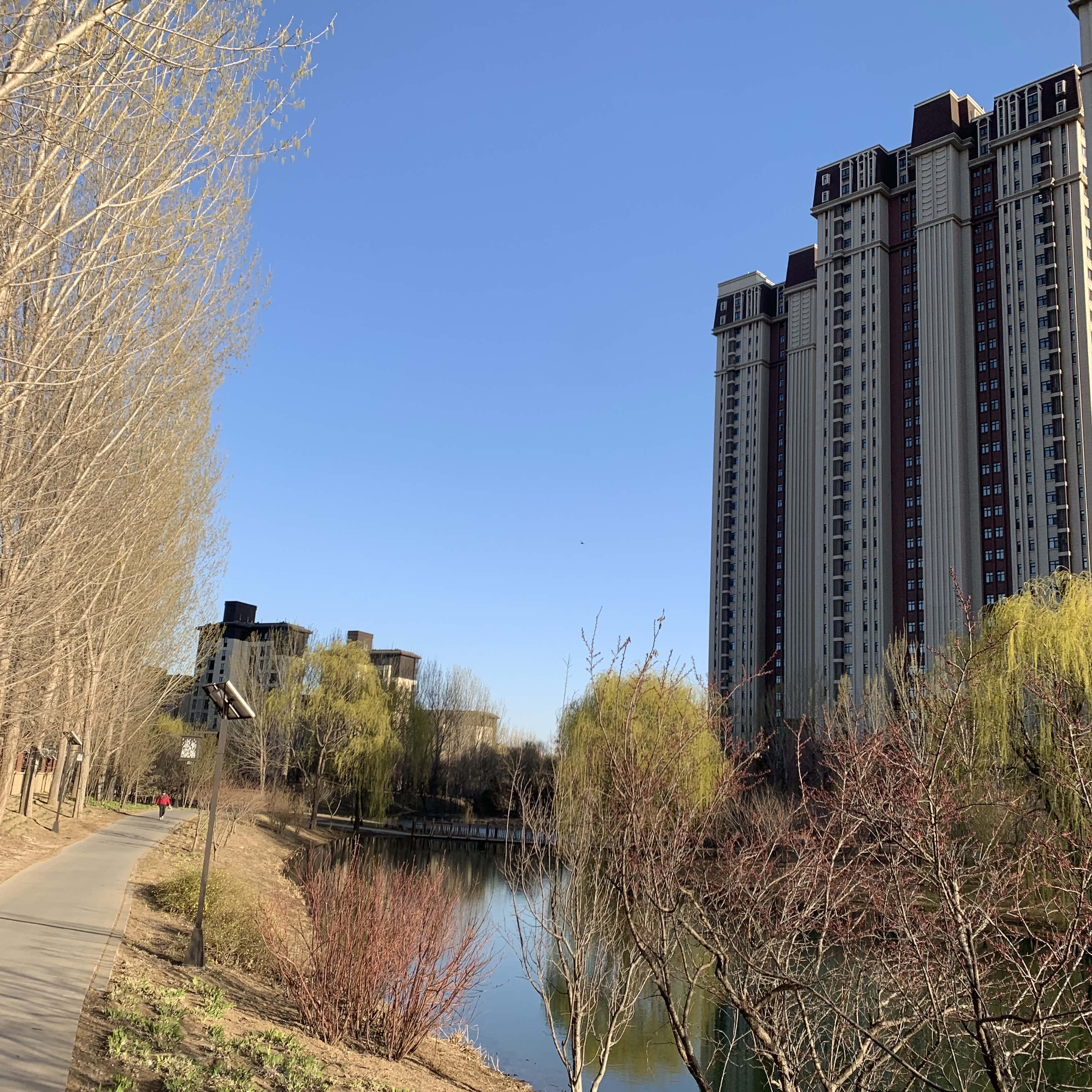 中央公园旅行图片 3