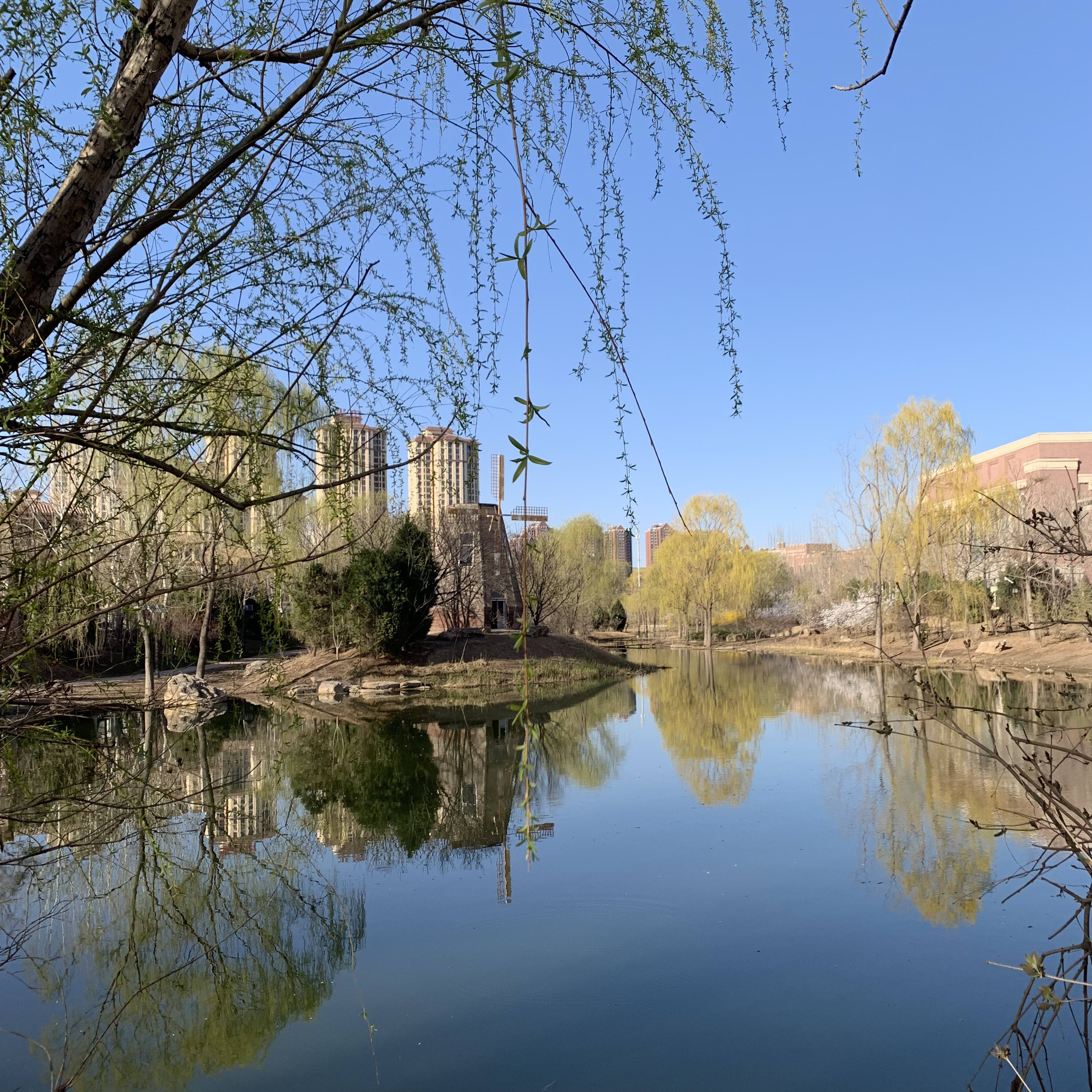 中央公园旅行图片 1