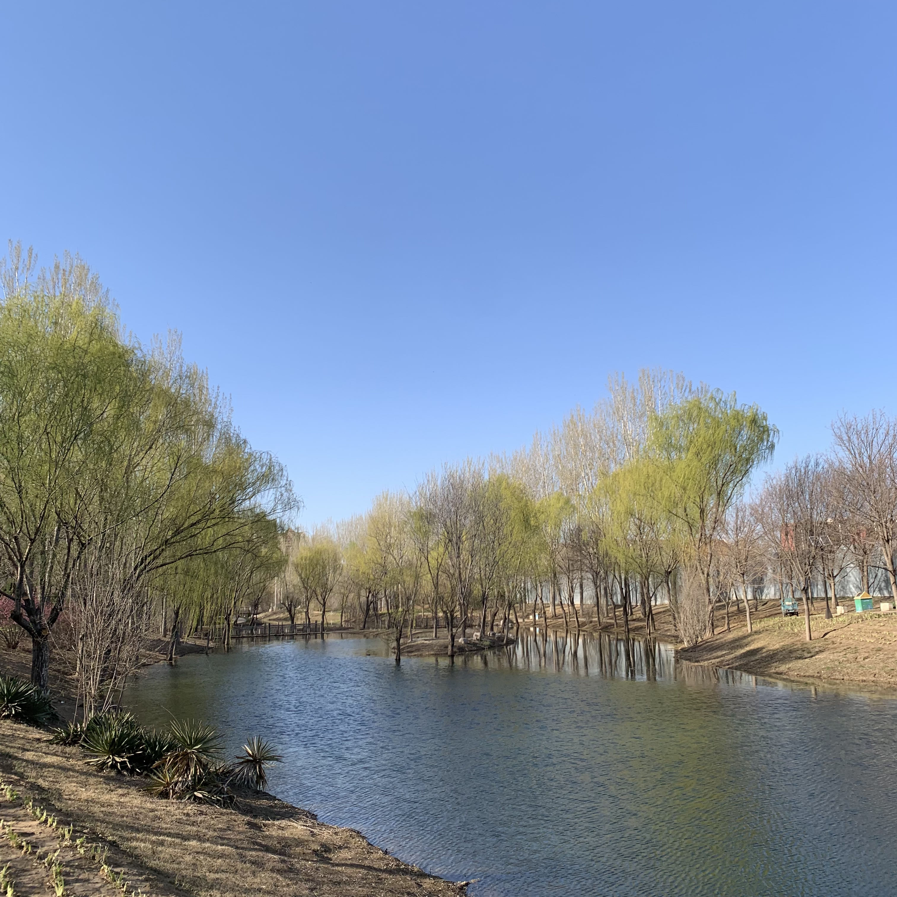 中央公园旅行图片 2