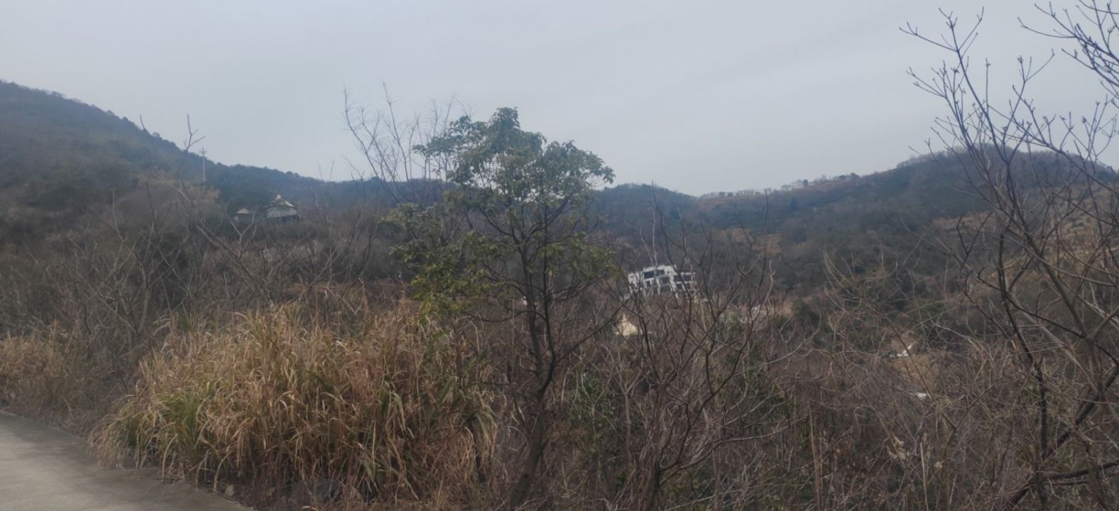 隐龙山风景区旅行图片 2