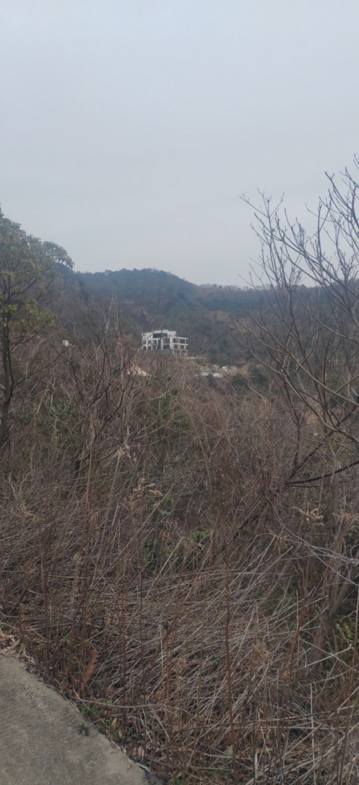 隐龙山风景区旅行图片 1