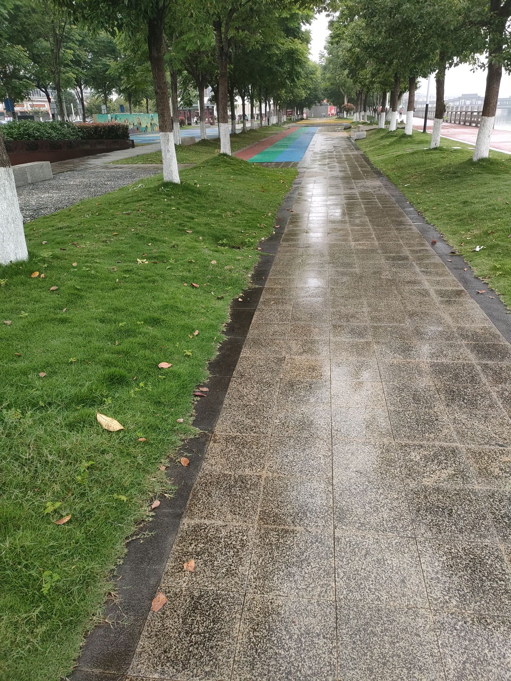 河边街公园旅行图片 3